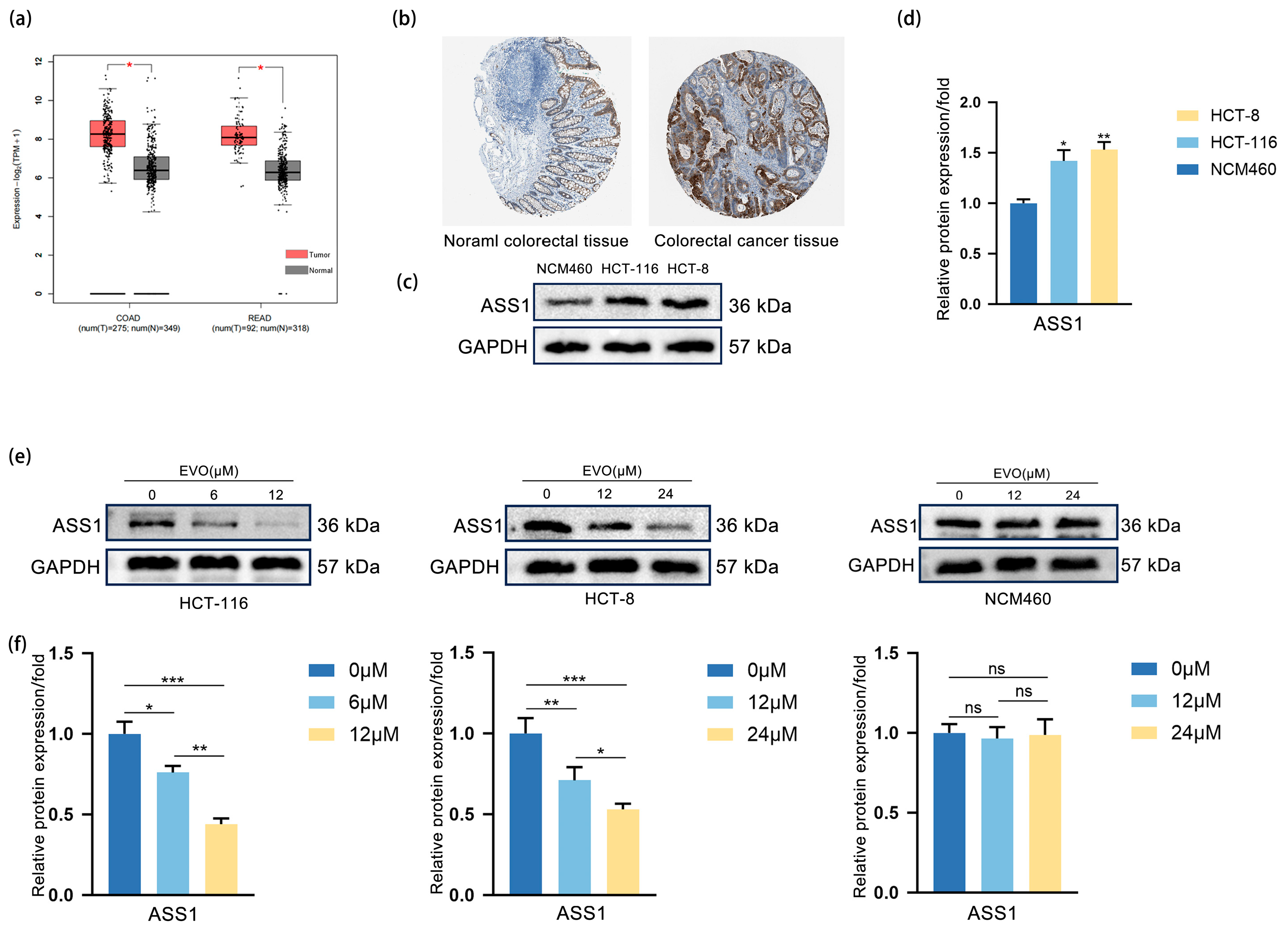 Pharmaceuticals 18 01736 g003
