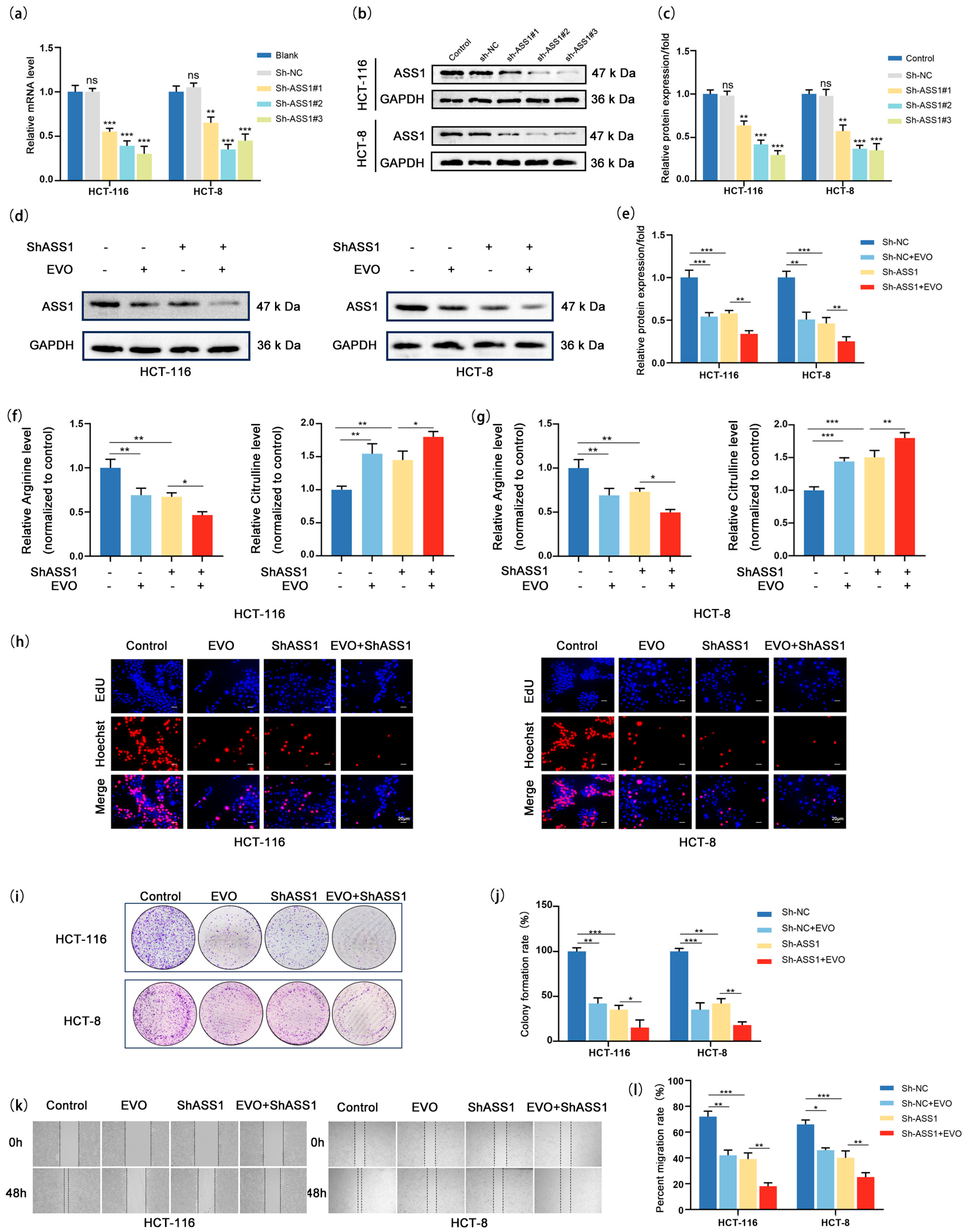 Pharmaceuticals 18 01736 g005