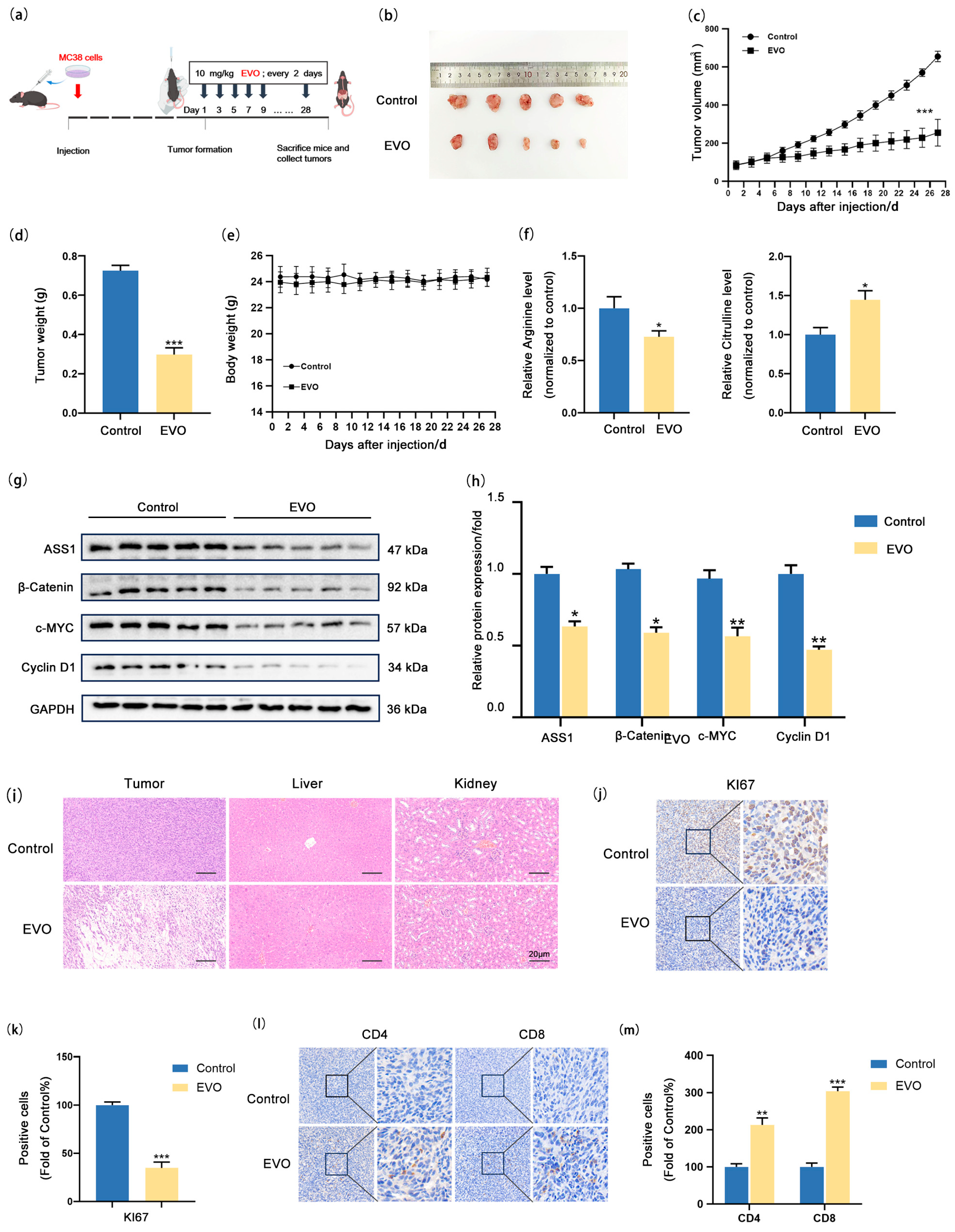 Pharmaceuticals 18 01736 g006