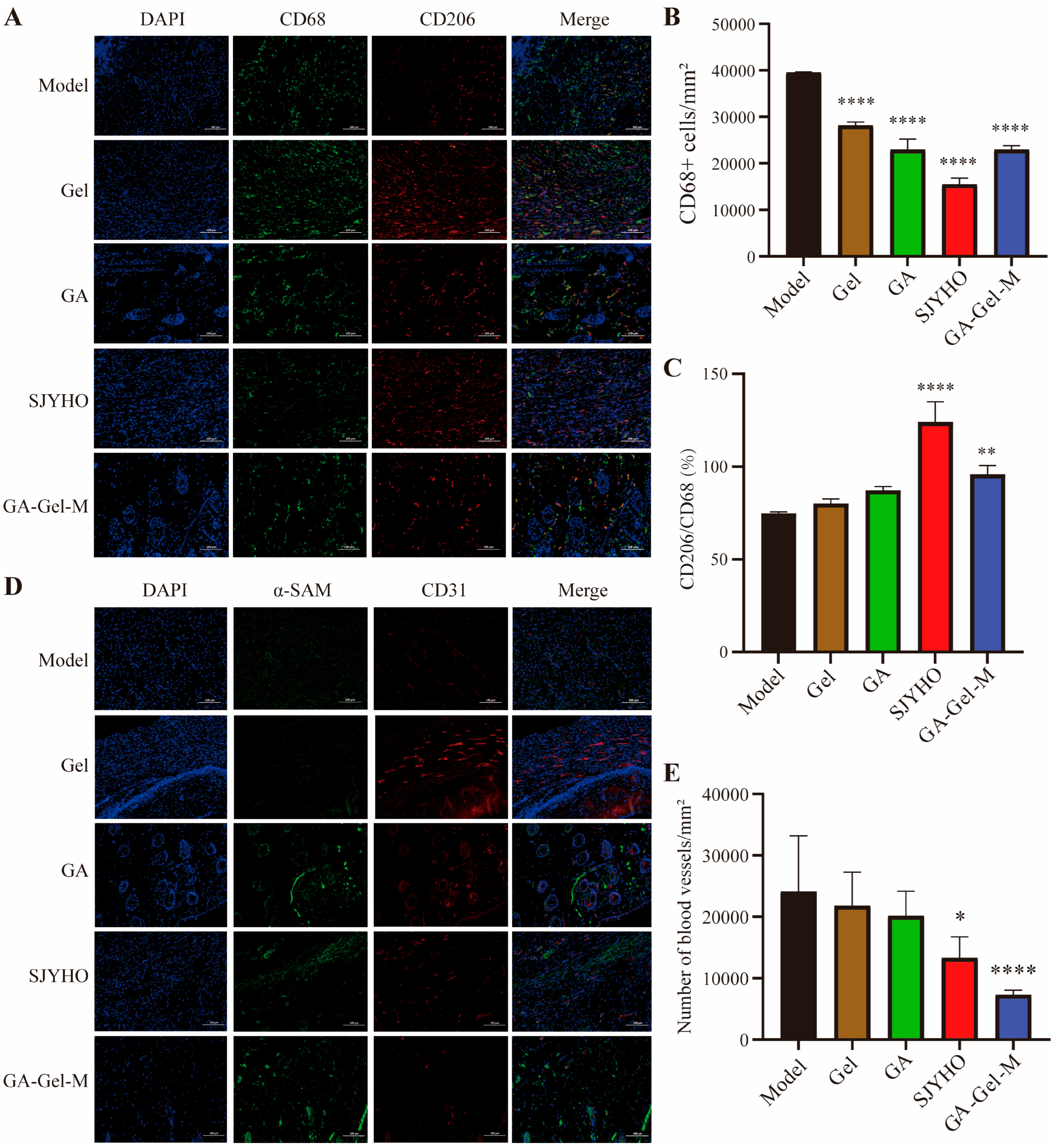 Pharmaceuticals 18 01737 g005