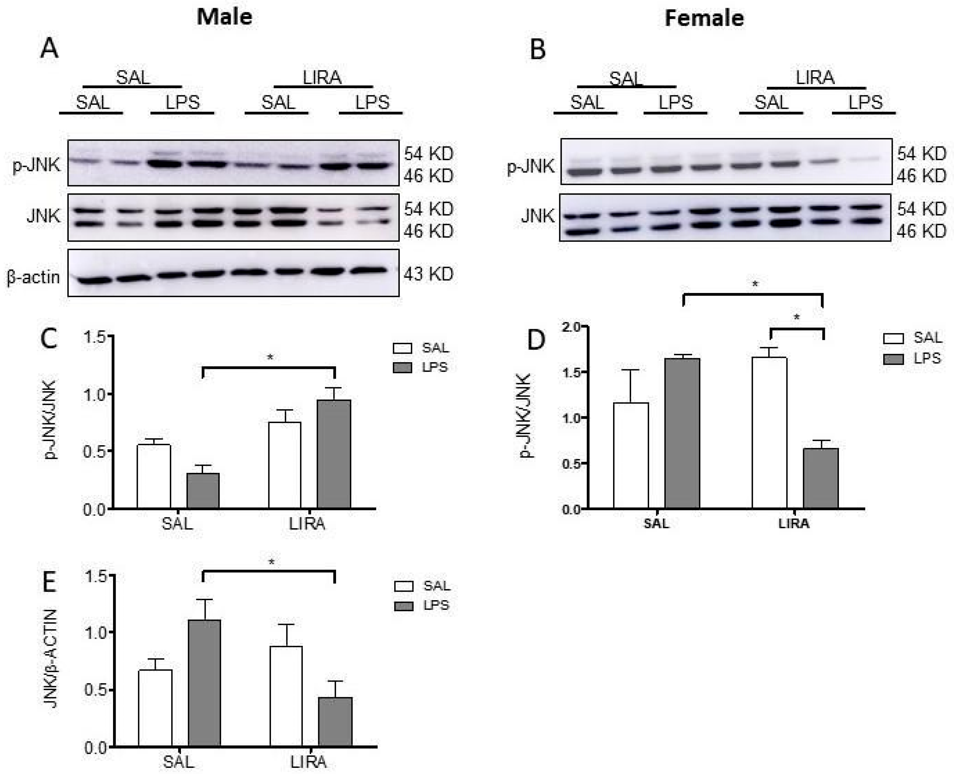 Pharmaceuticals 18 01738 g006 Pharmaceuticals 18 01738 g006