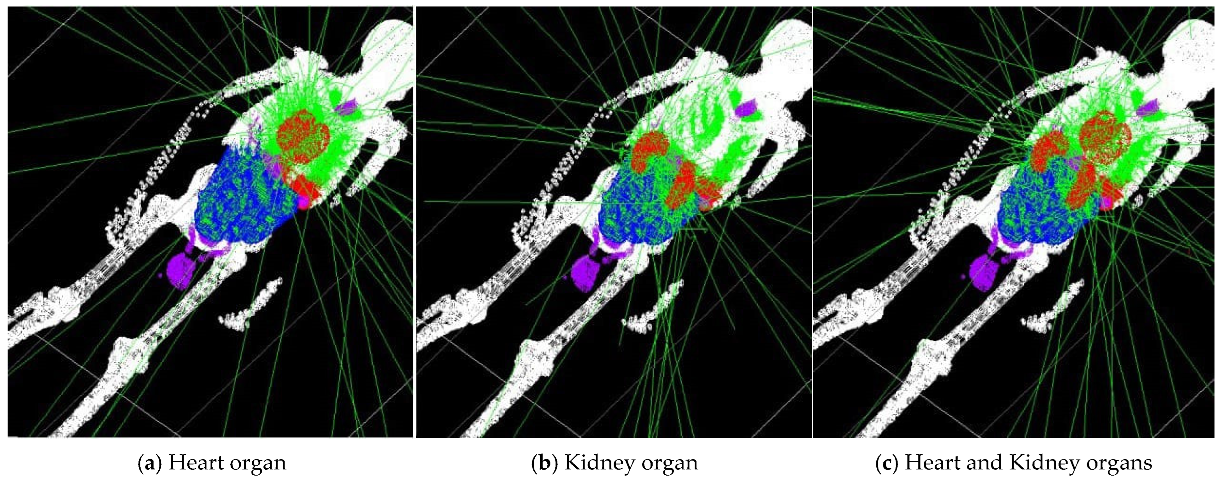 Pharmaceuticals 18 01741 g002 Pharmaceuticals 18 01741 g002
