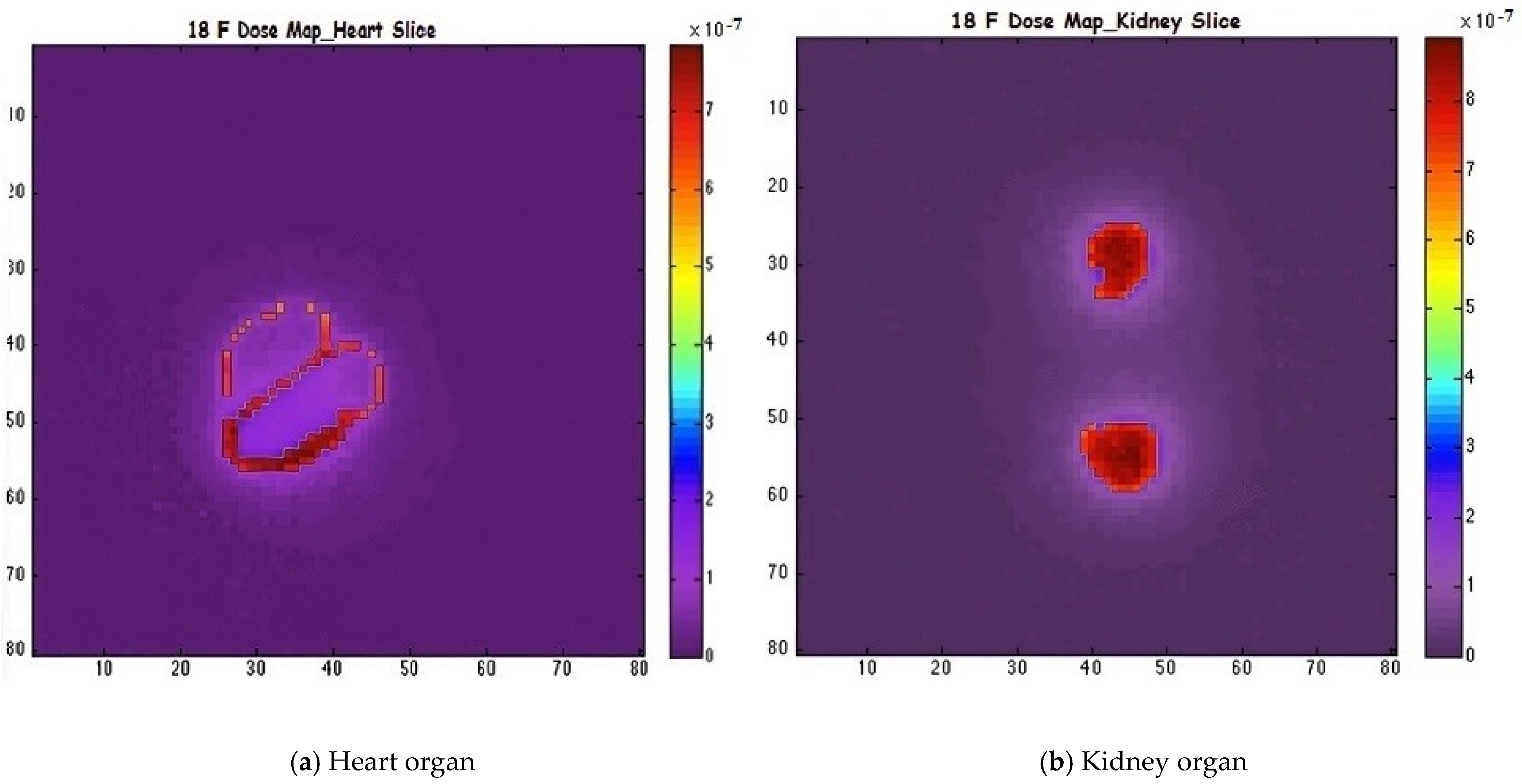 Pharmaceuticals 18 01741 g003 Pharmaceuticals 18 01741 g003