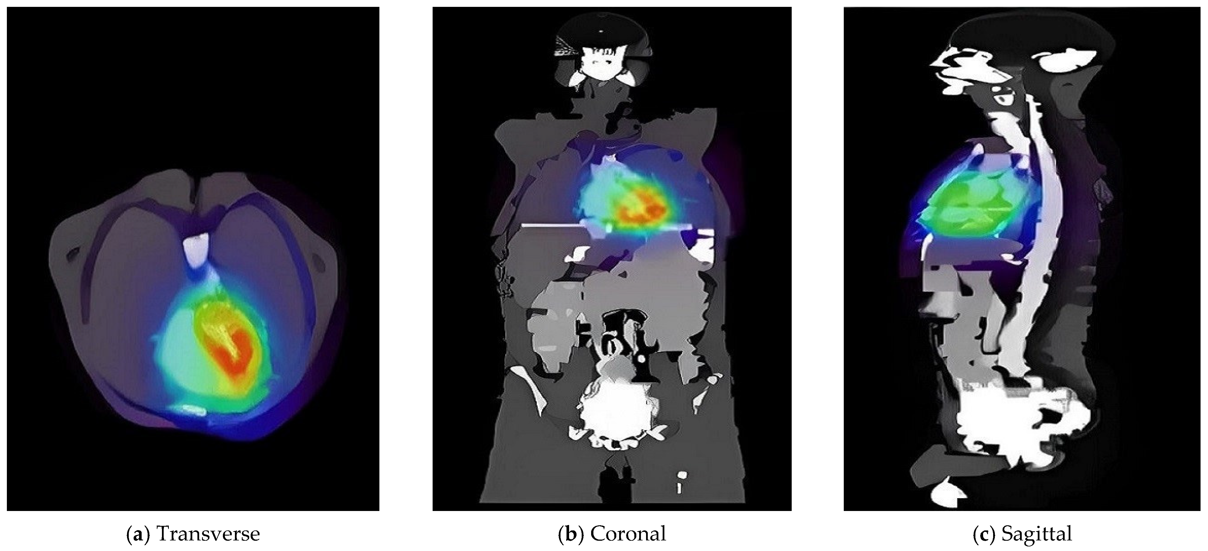 Pharmaceuticals 18 01741 g005 Pharmaceuticals 18 01741 g005