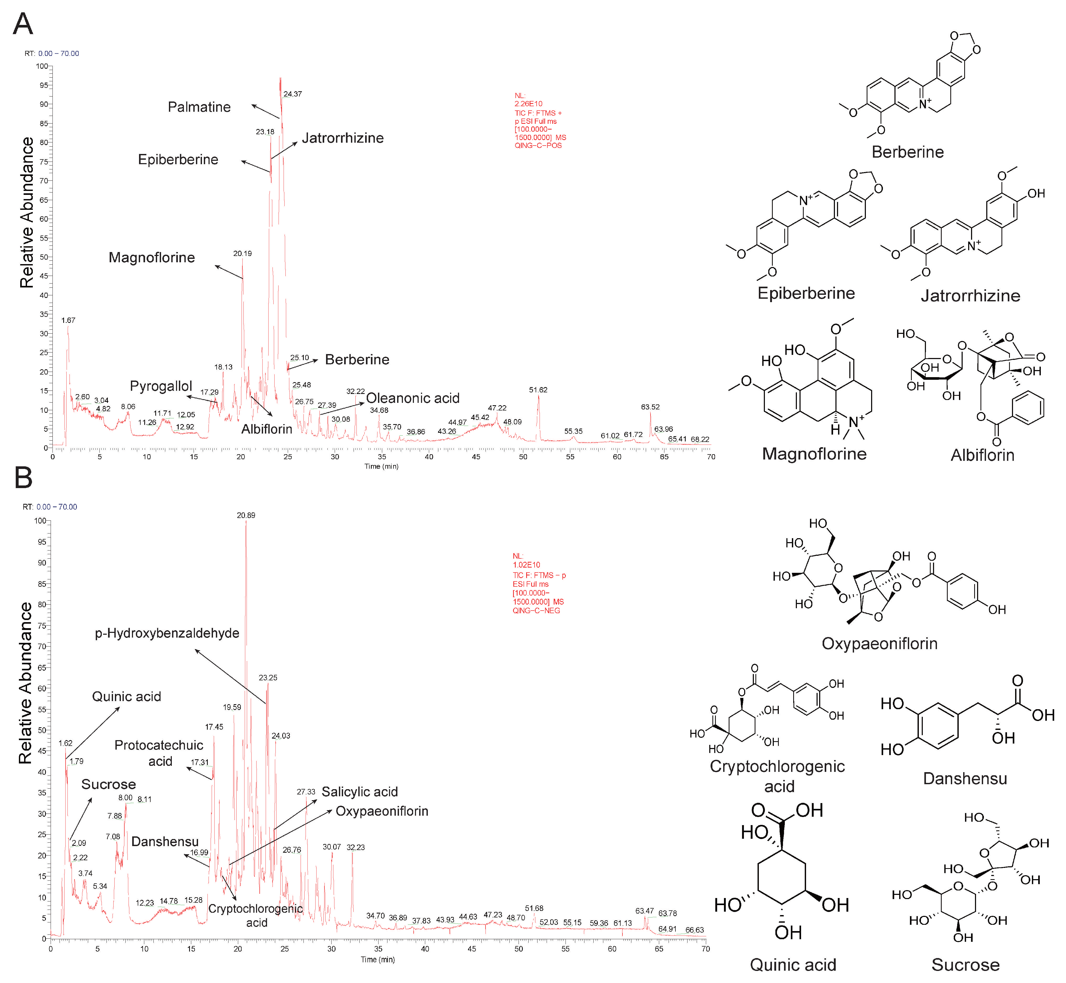 Pharmaceuticals 18 01743 g001 Pharmaceuticals 18 01743 g001
