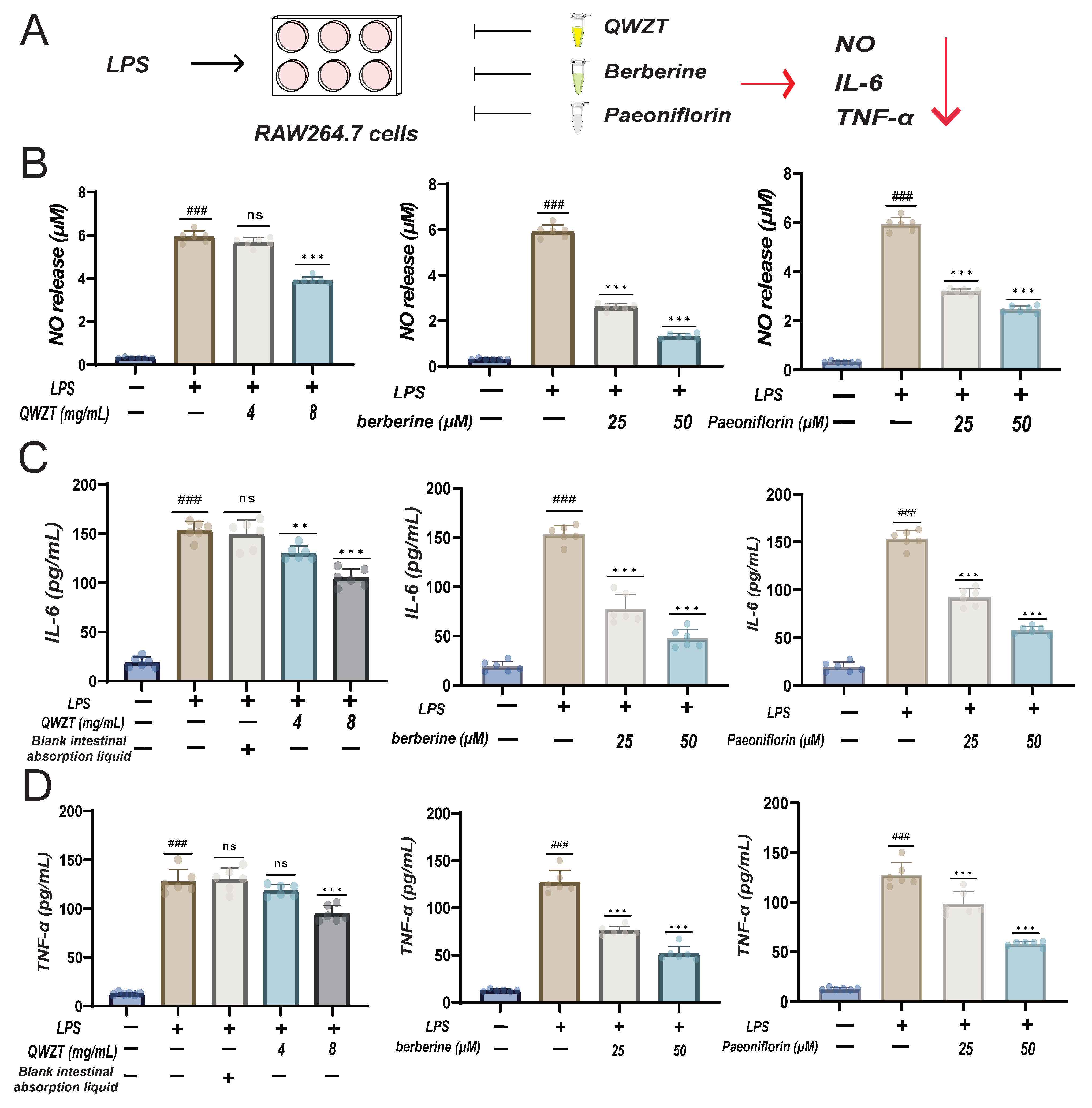 Pharmaceuticals 18 01743 g008 Pharmaceuticals 18 01743 g008