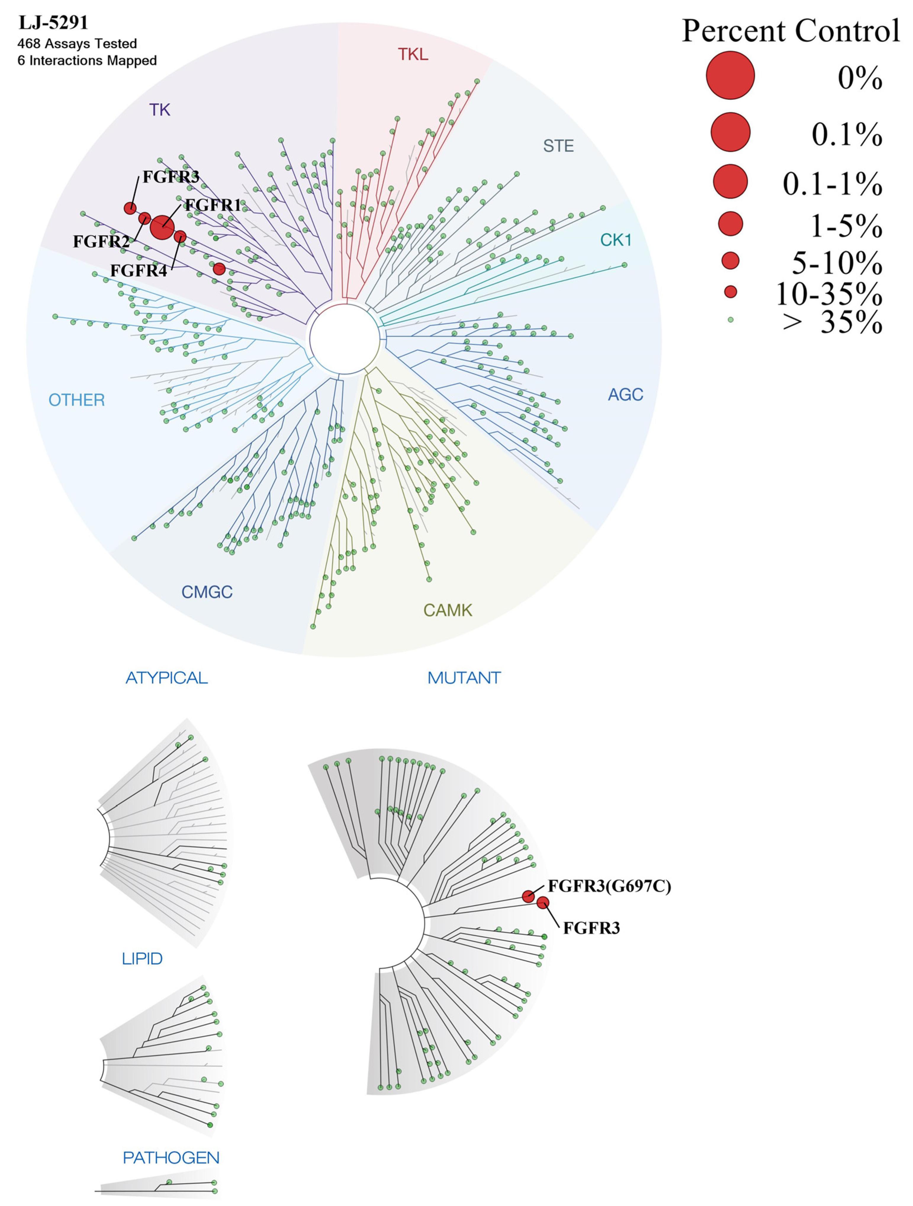 Pharmaceuticals 18 01745 g003