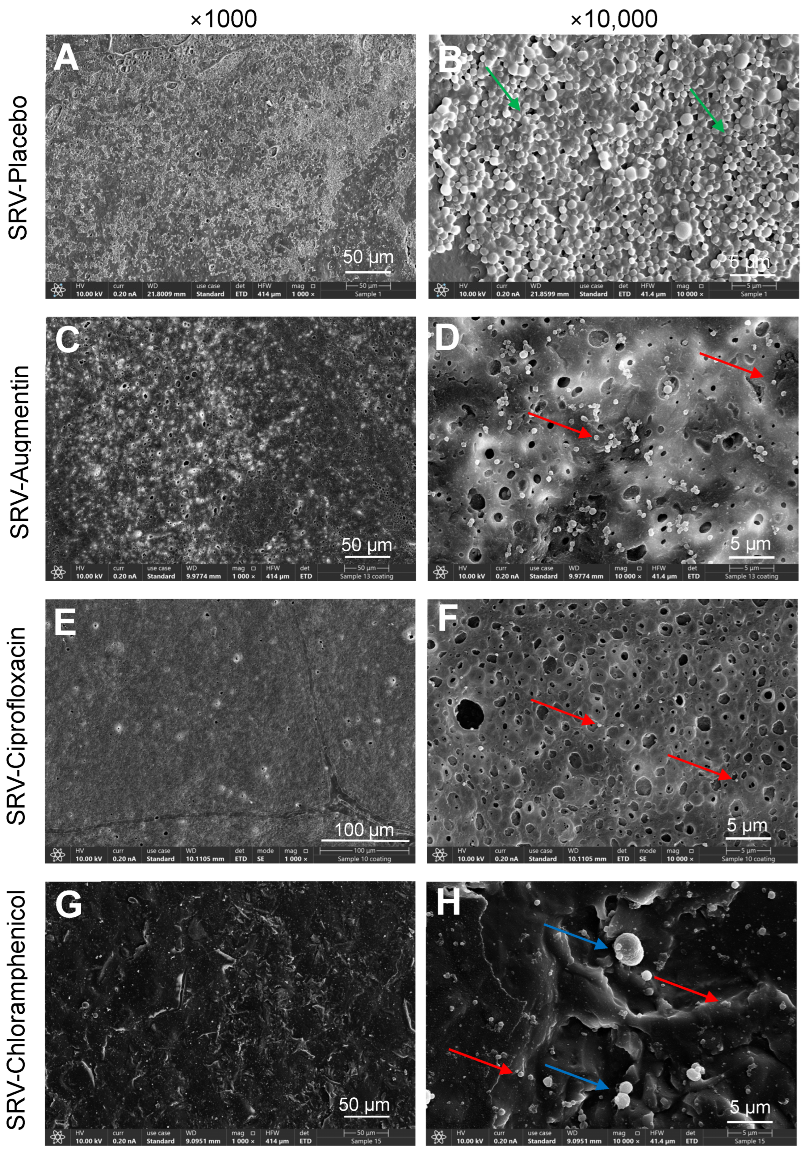 Pharmaceuticals 18 01746 g004