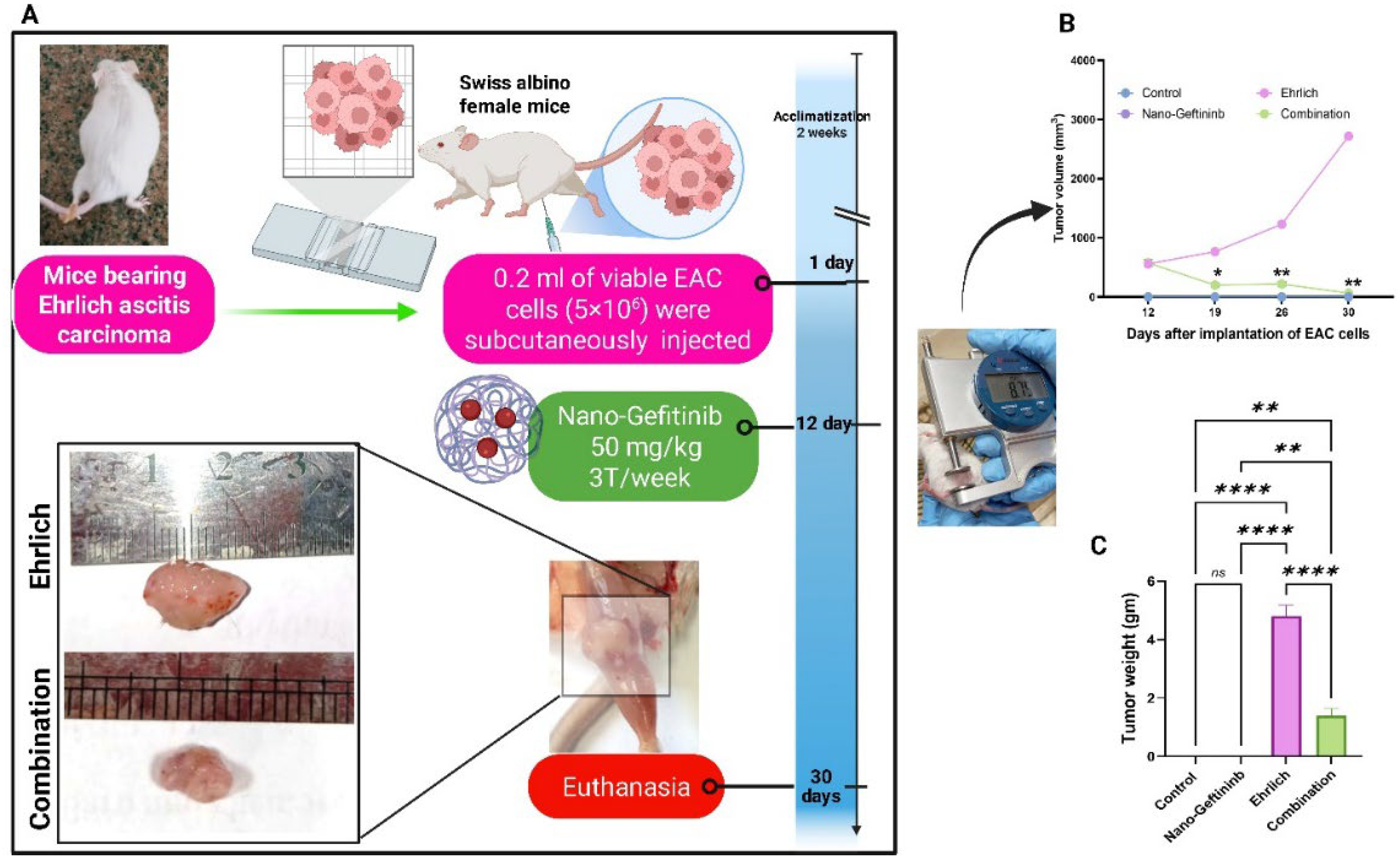 Pharmaceuticals 18 01747 g003