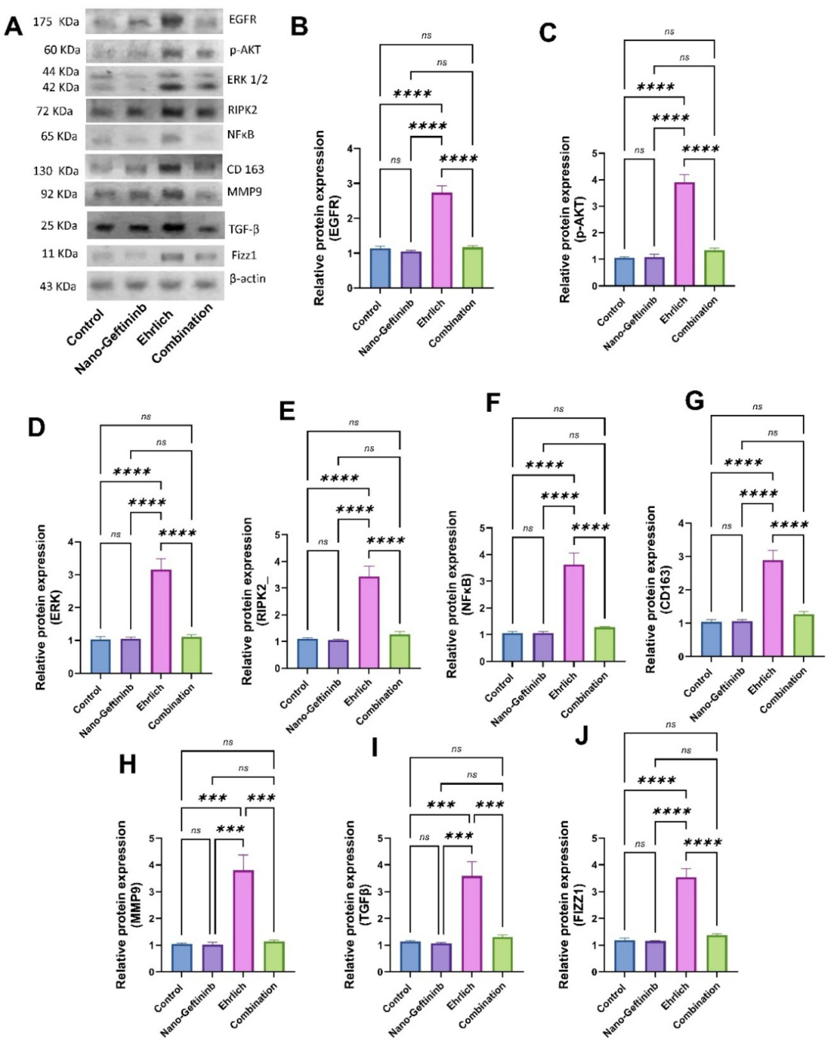 Pharmaceuticals 18 01747 g006
