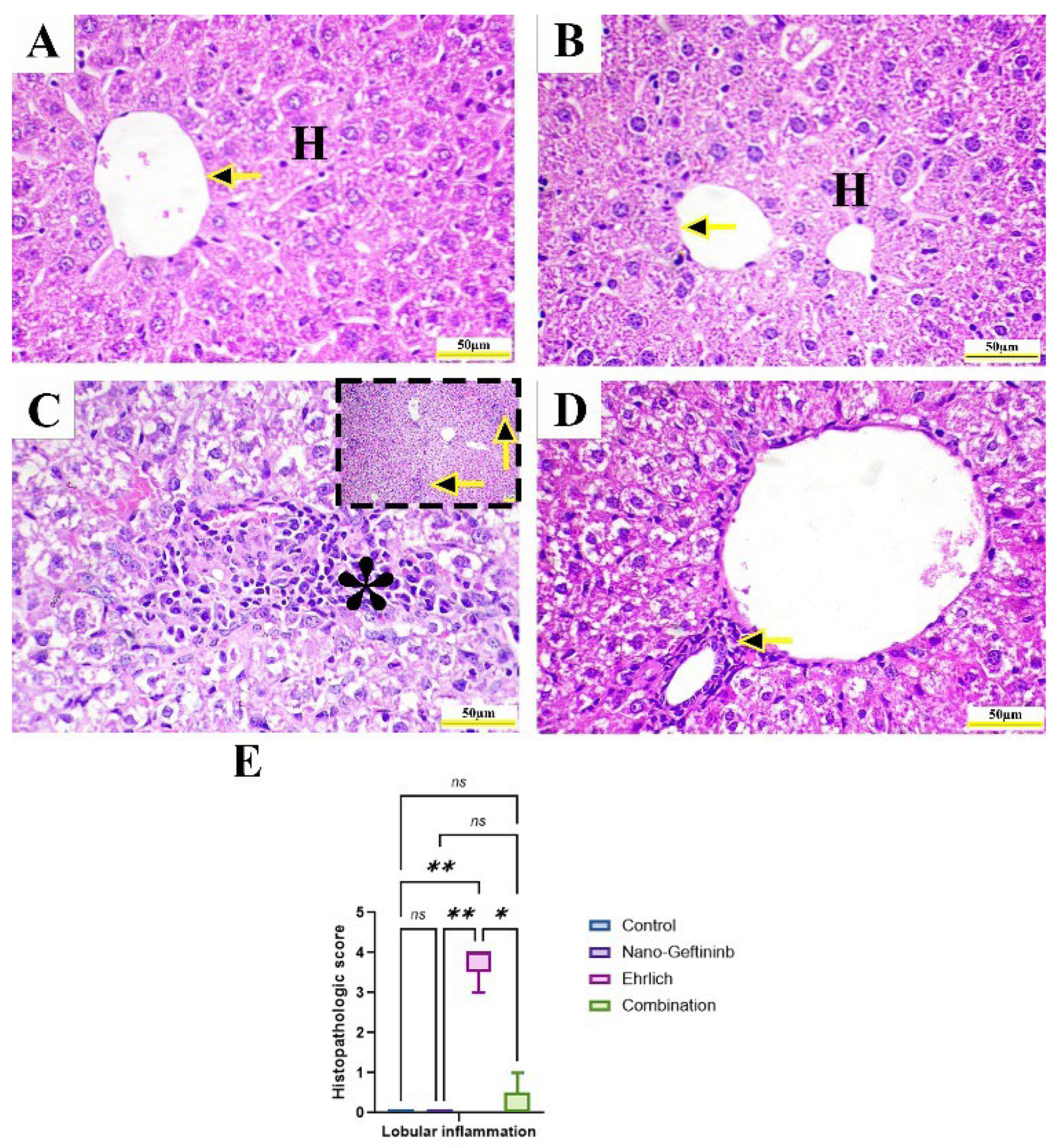 Pharmaceuticals 18 01747 g007