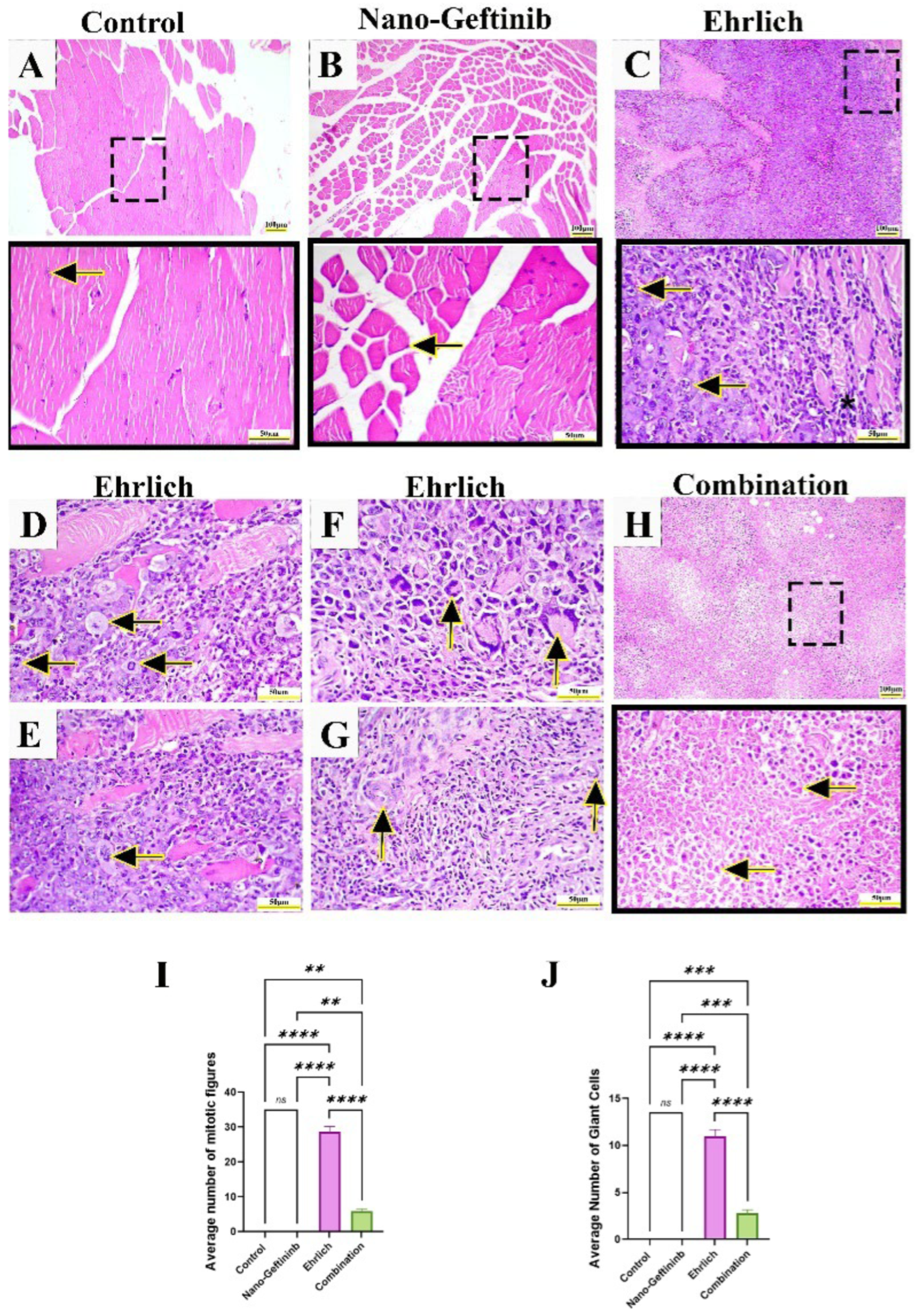 Pharmaceuticals 18 01747 g008