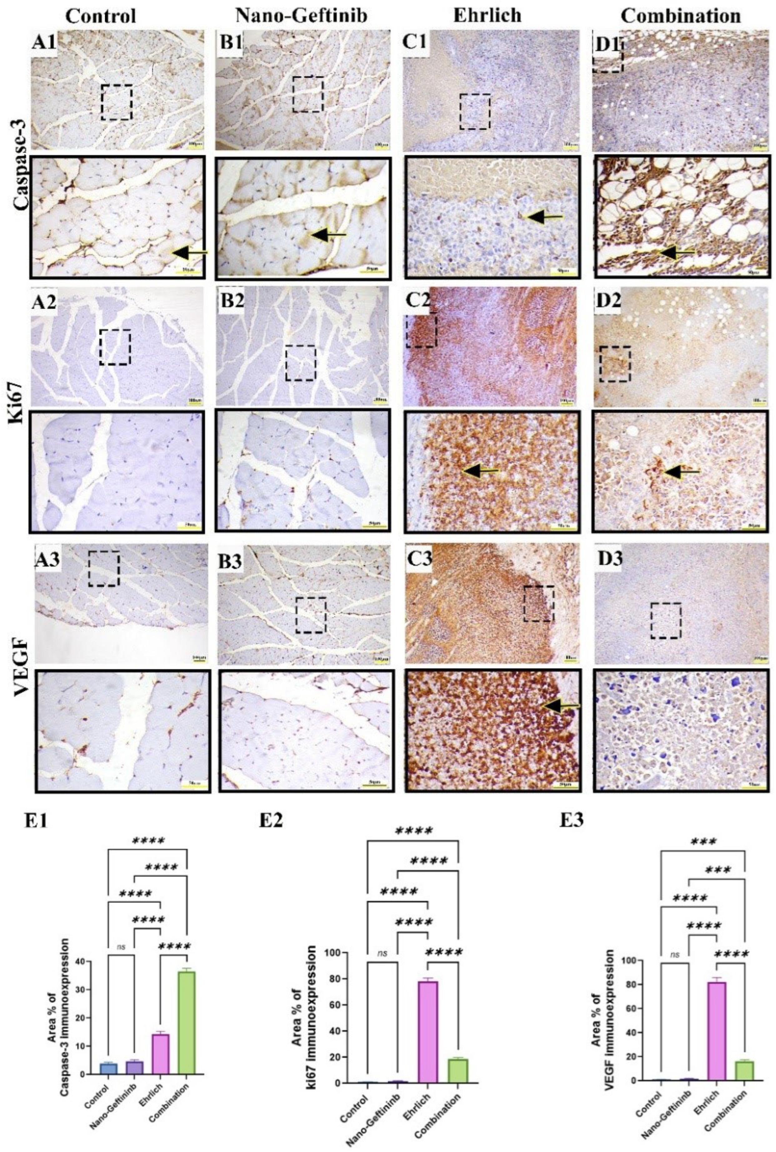 Pharmaceuticals 18 01747 g009