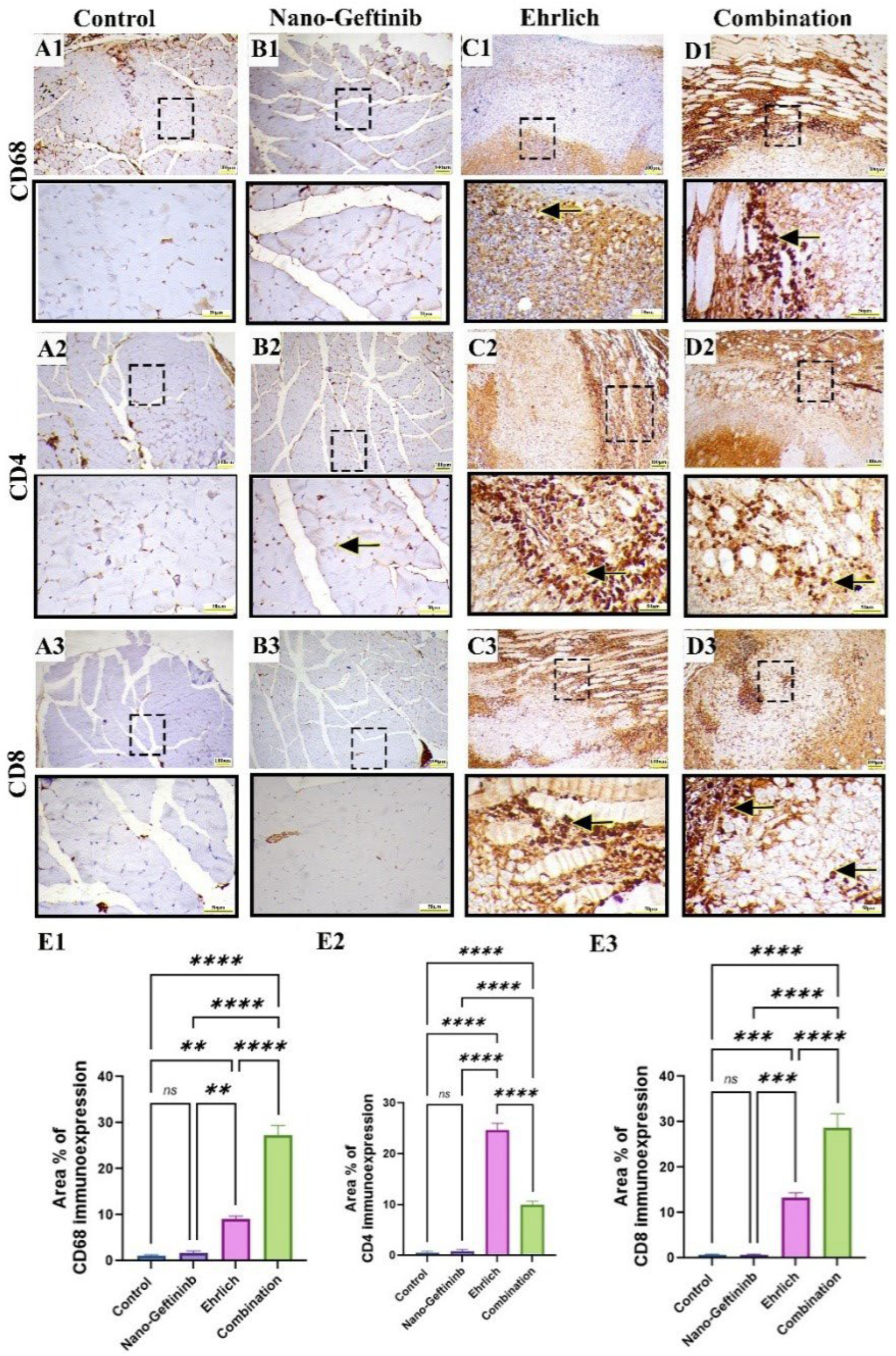 Pharmaceuticals 18 01747 g010