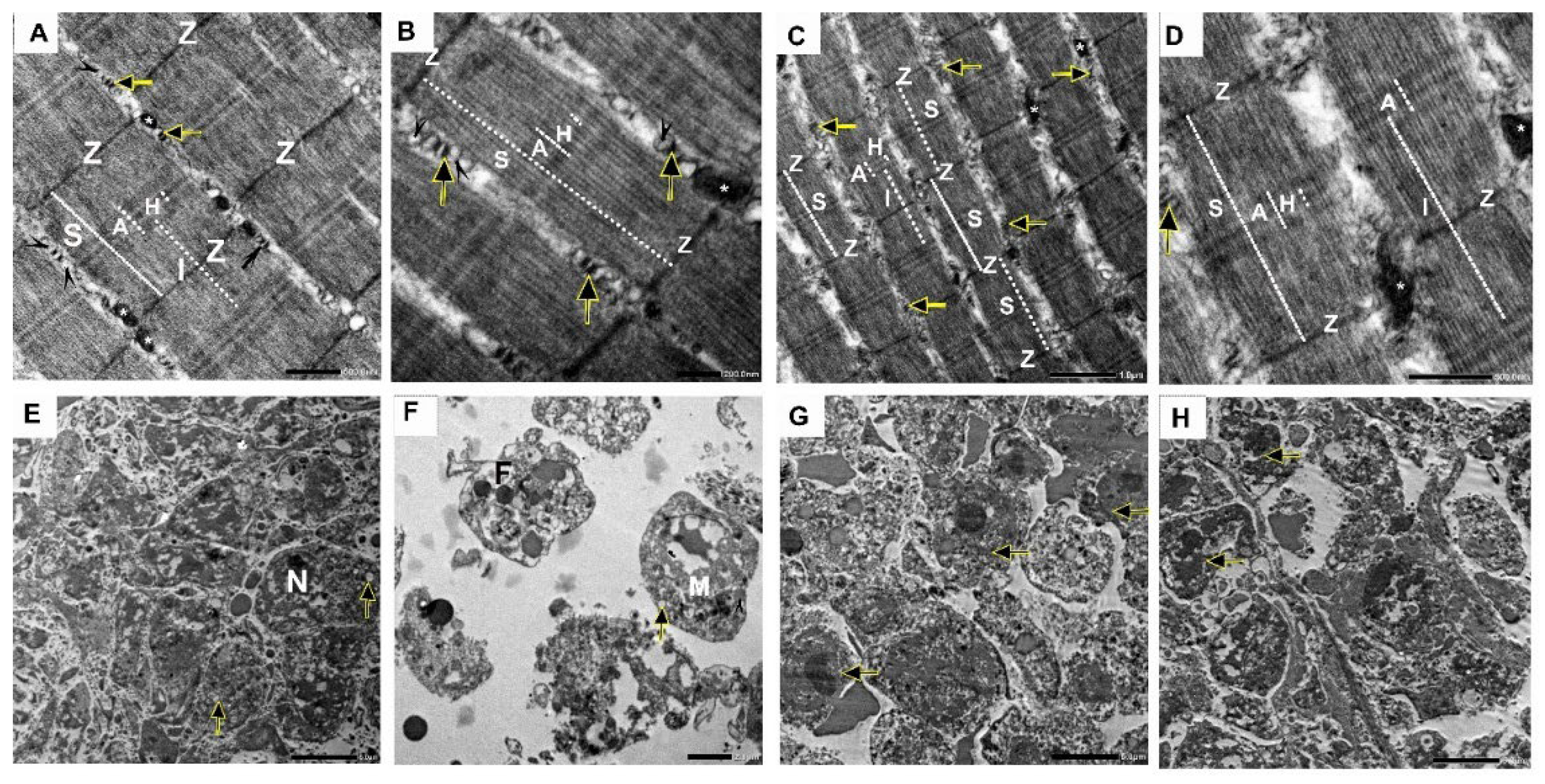 Pharmaceuticals 18 01747 g011