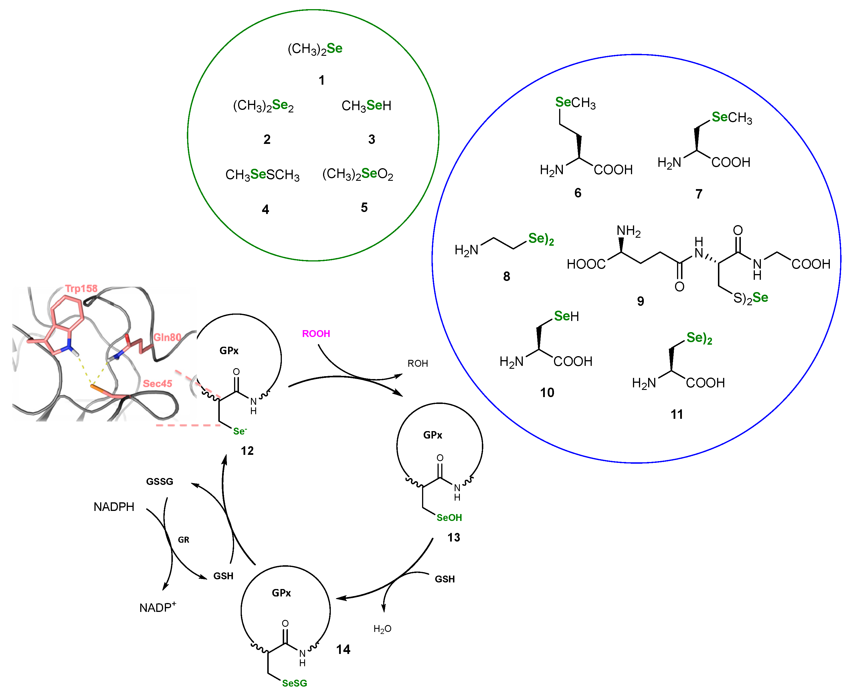 Pharmaceuticals 18 01749 sch001