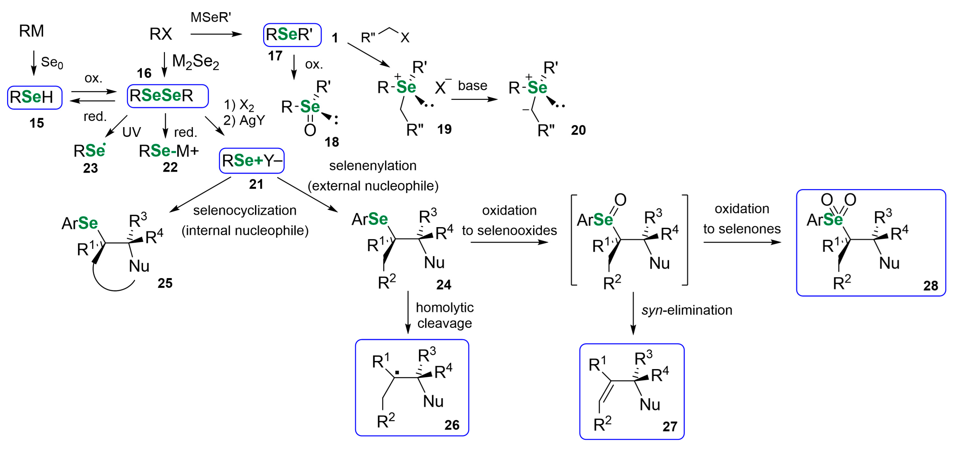 Pharmaceuticals 18 01749 sch002