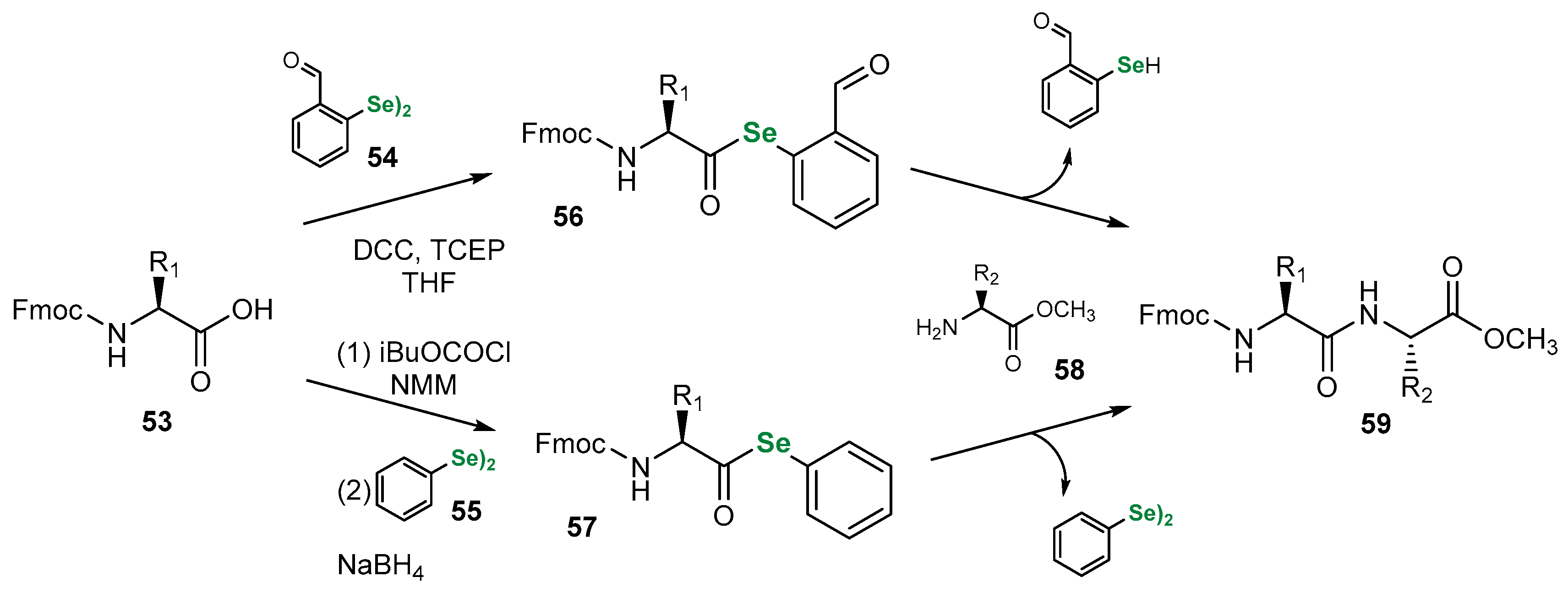 Pharmaceuticals 18 01749 sch005