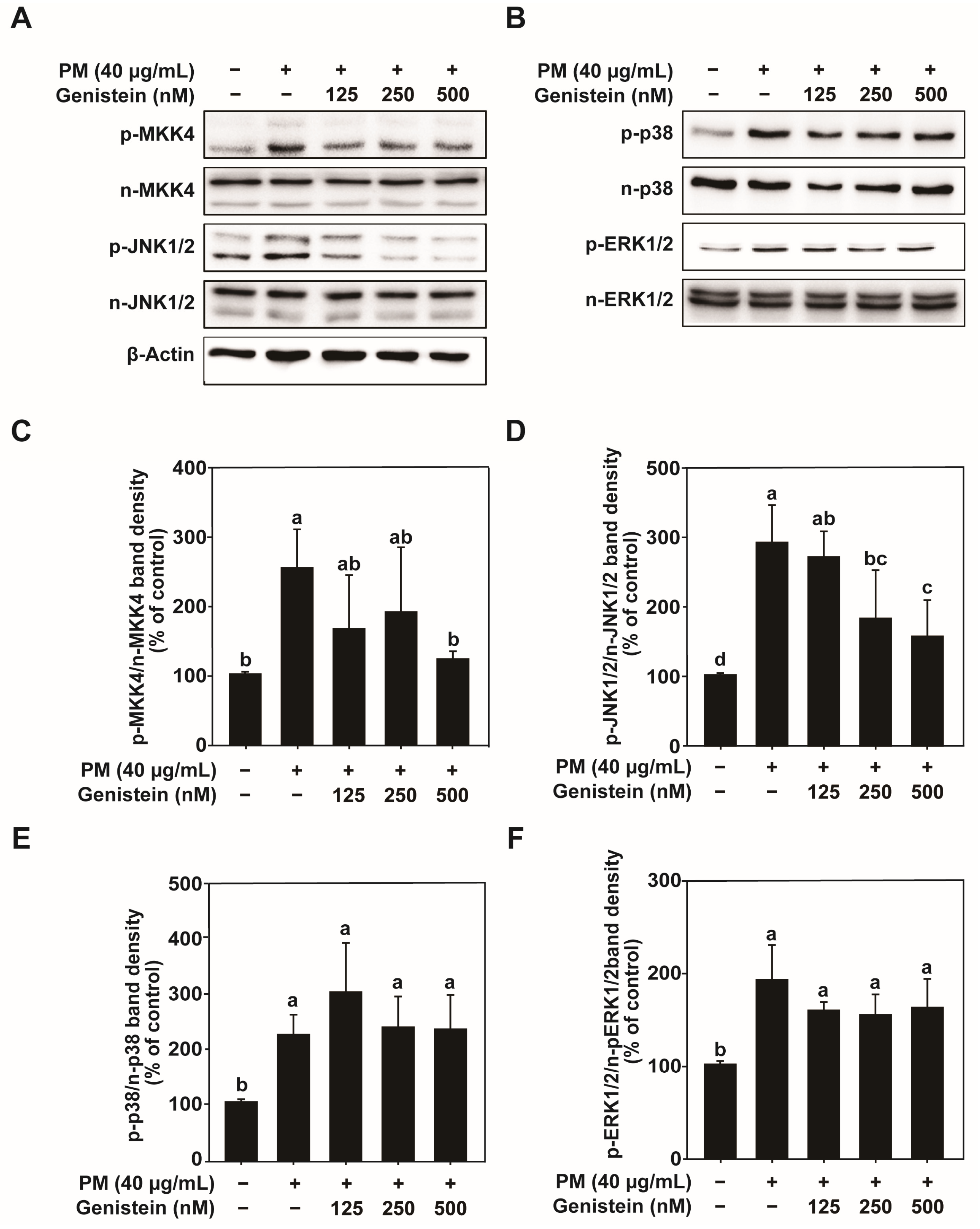 Pharmaceuticals 18 01750 g003