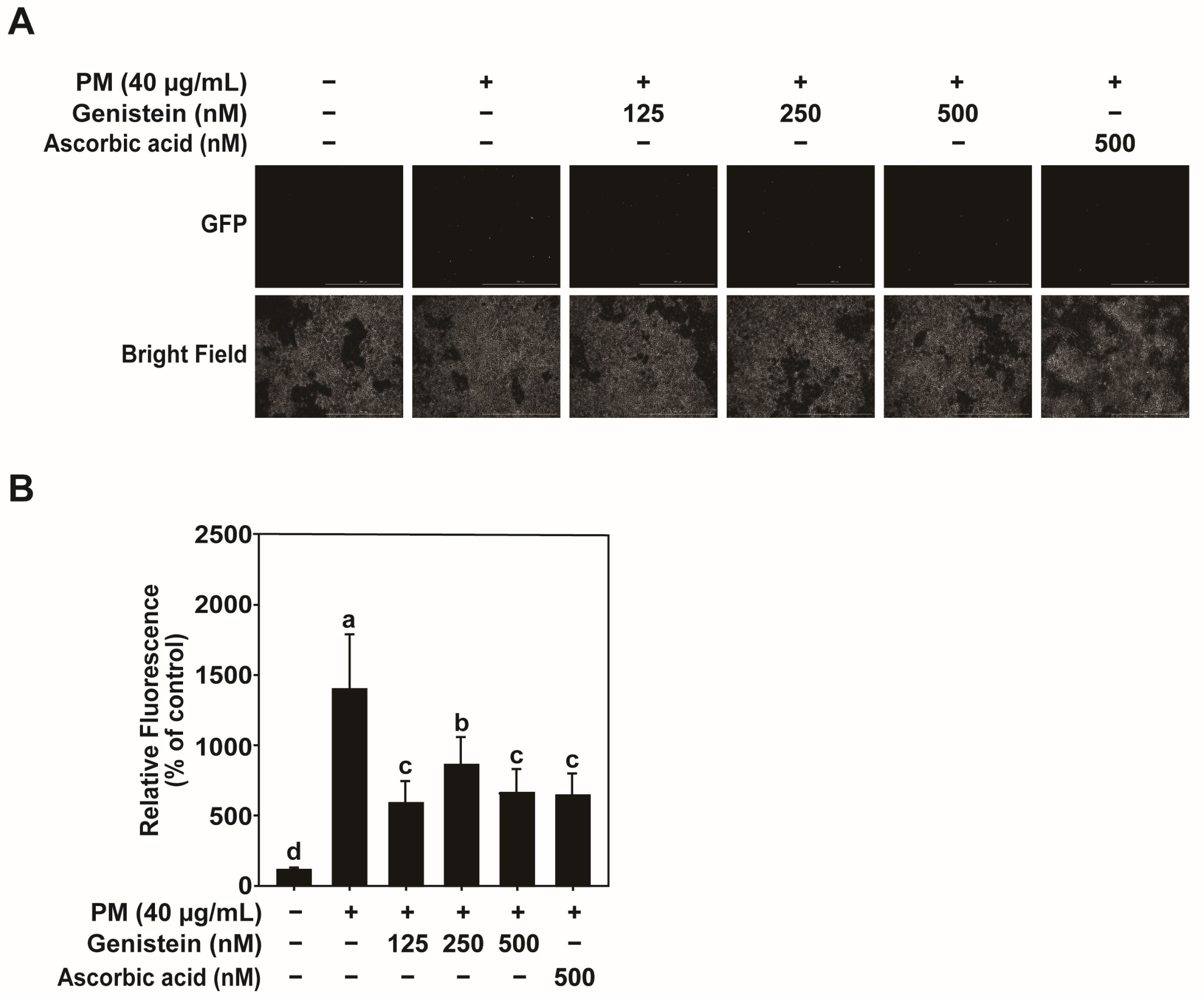 Pharmaceuticals 18 01750 g004