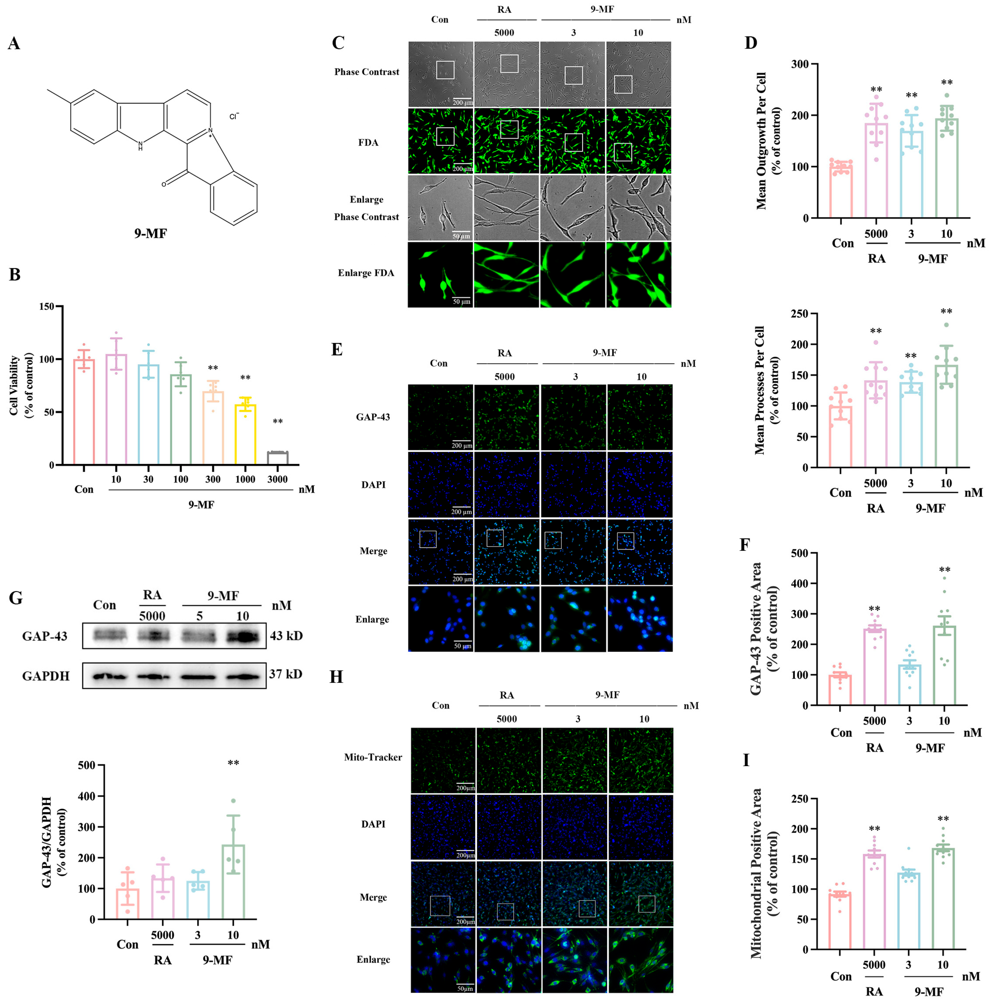 Pharmaceuticals 18 01751 g001 Pharmaceuticals 18 01751 g001