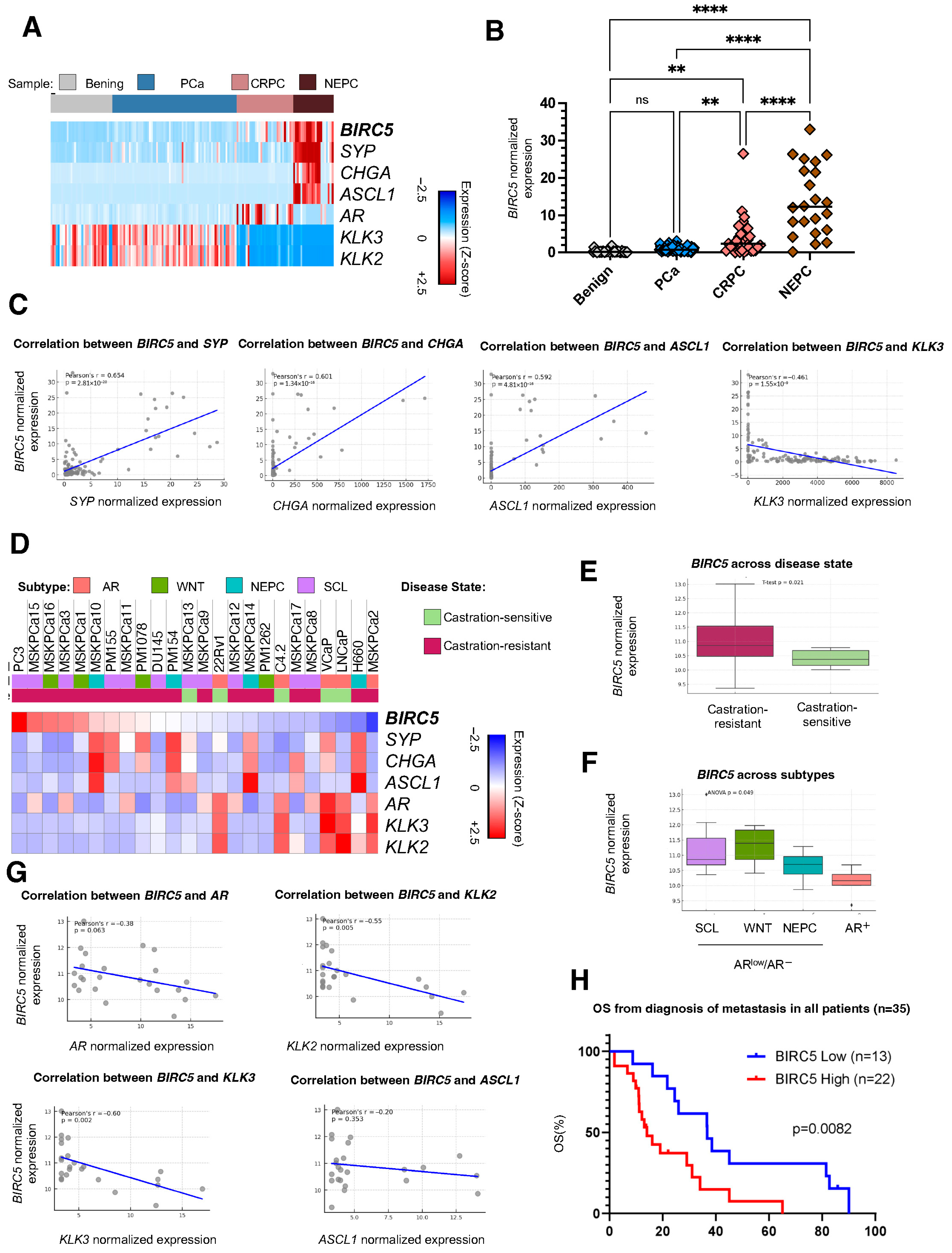 Pharmaceuticals 18 01752 g001