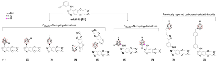 Pharmaceuticals 18 01753 i001