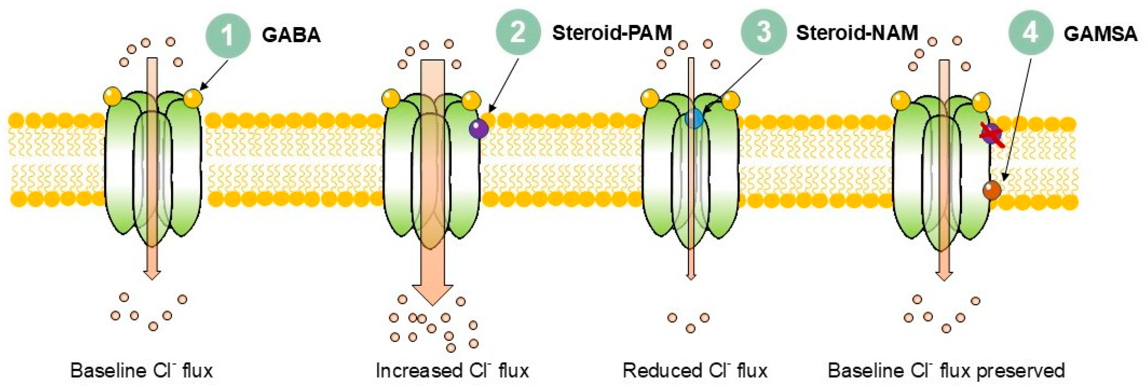 Pharmaceuticals 18 01757 g001