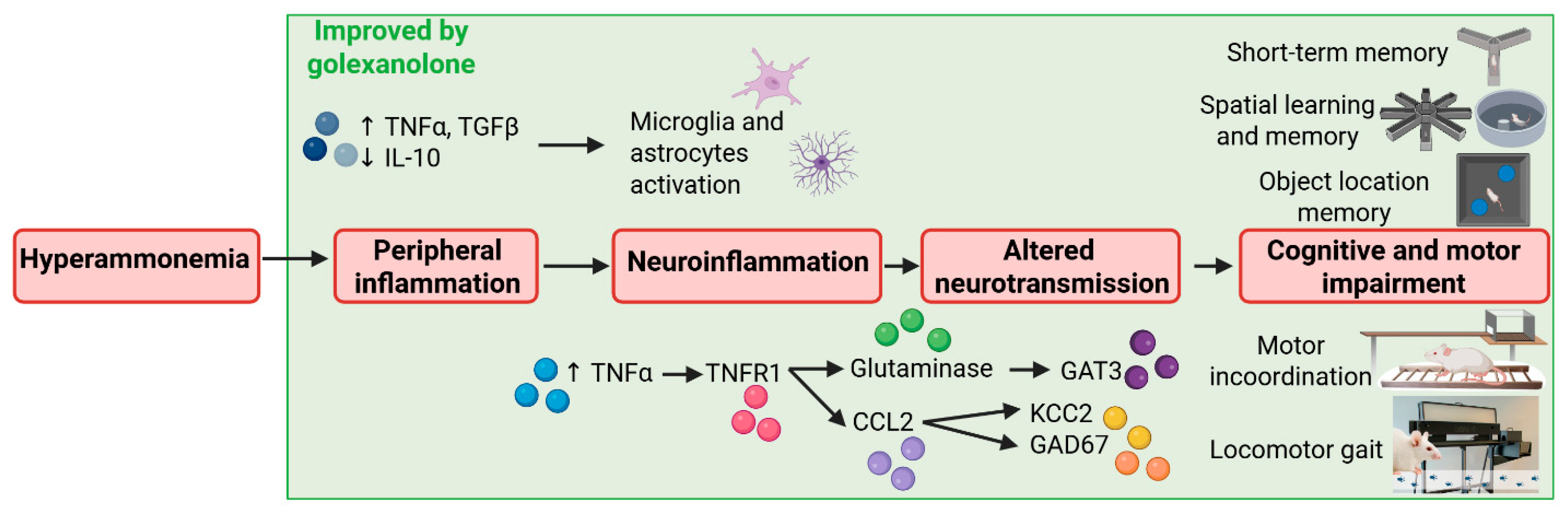 Pharmaceuticals 18 01757 g002