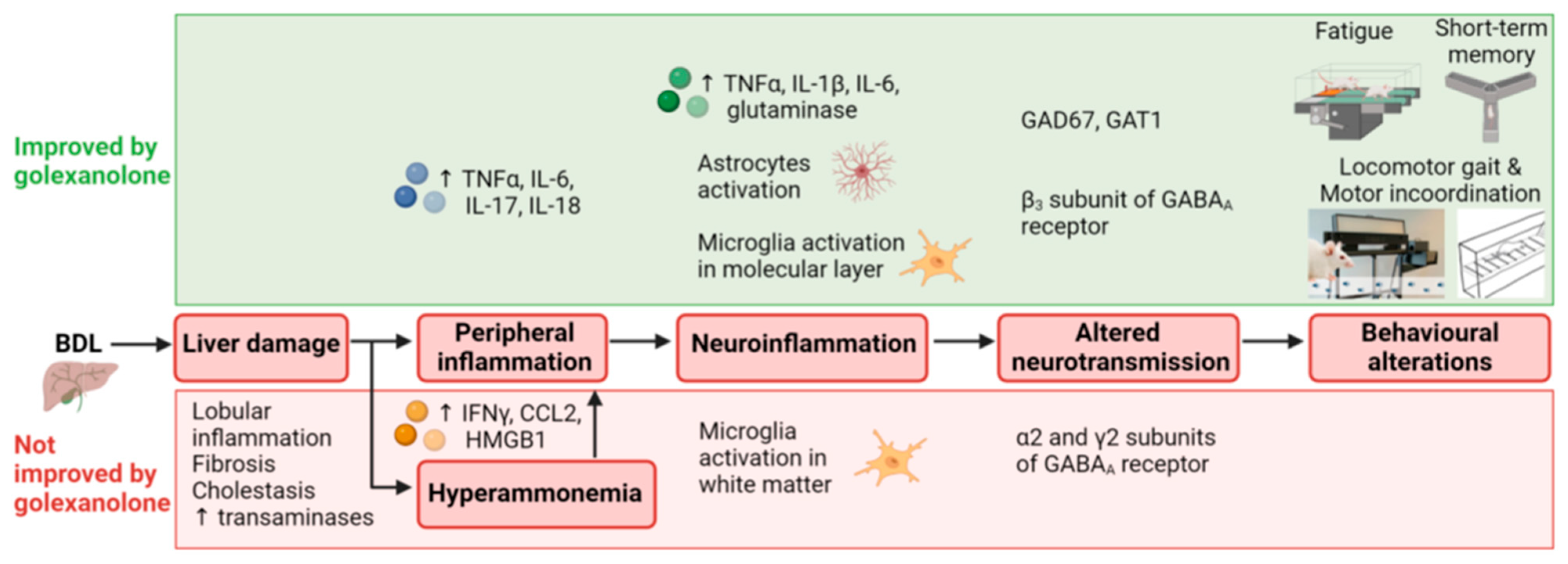 Pharmaceuticals 18 01757 g003