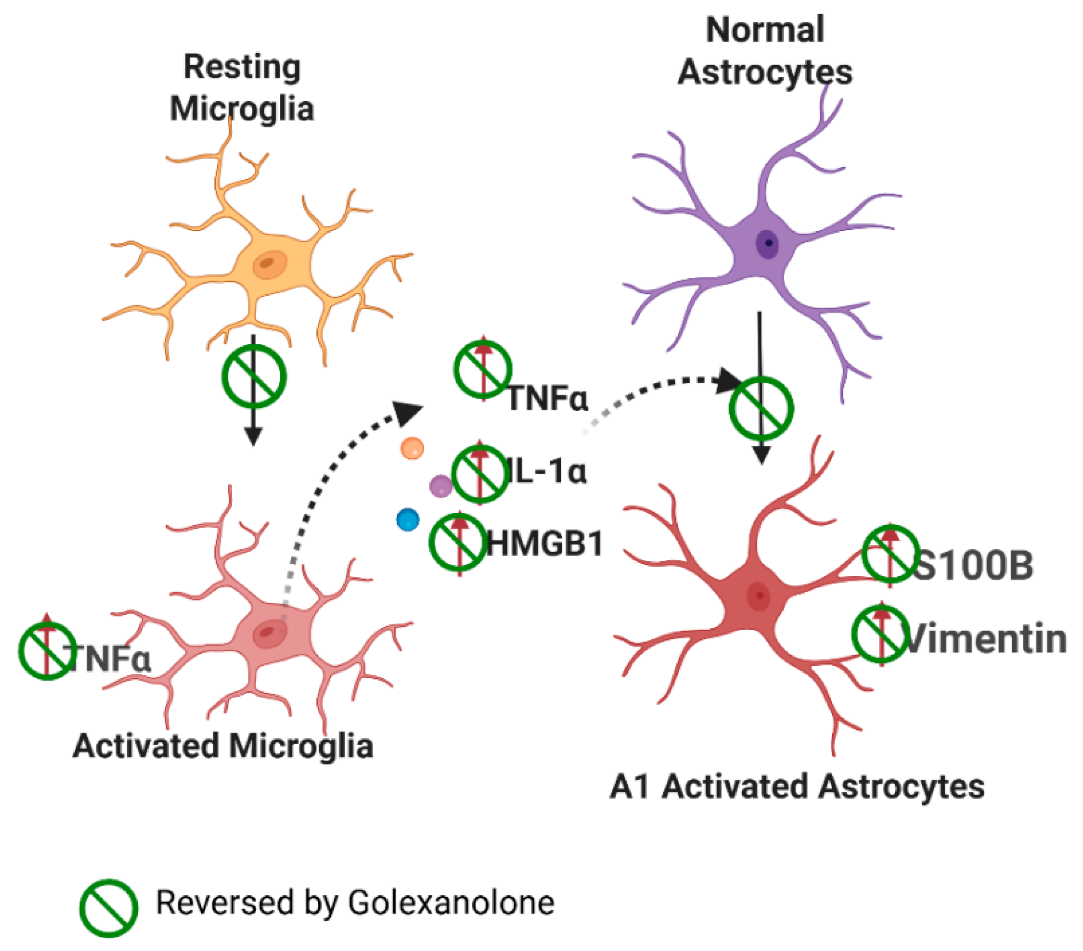 Pharmaceuticals 18 01757 g004
