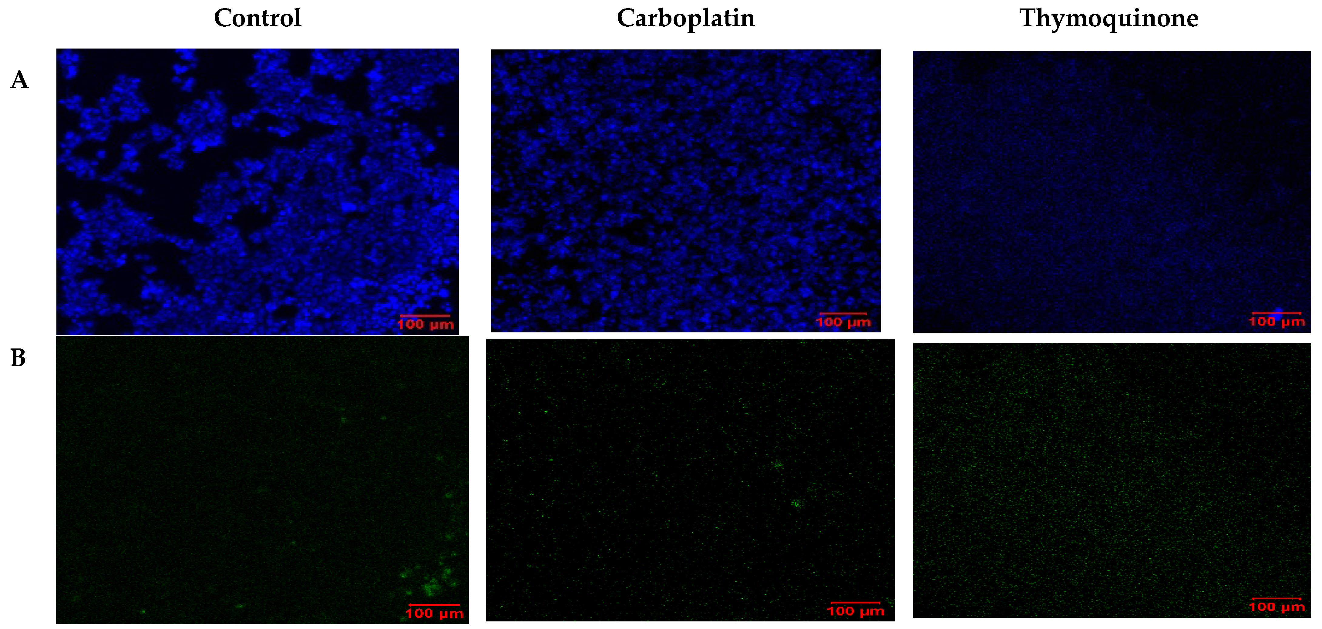 Pharmaceuticals 18 01758 g006a Pharmaceuticals 18 01758 g006a