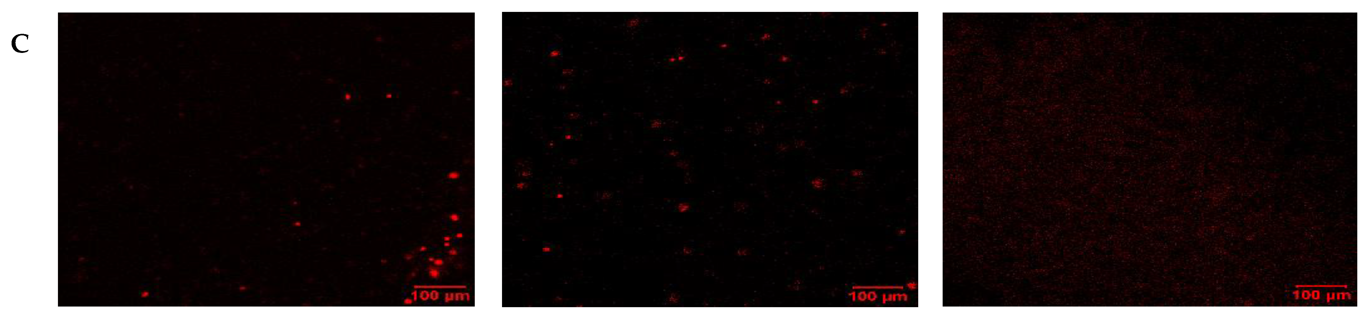 Pharmaceuticals 18 01758 g006b Pharmaceuticals 18 01758 g006b