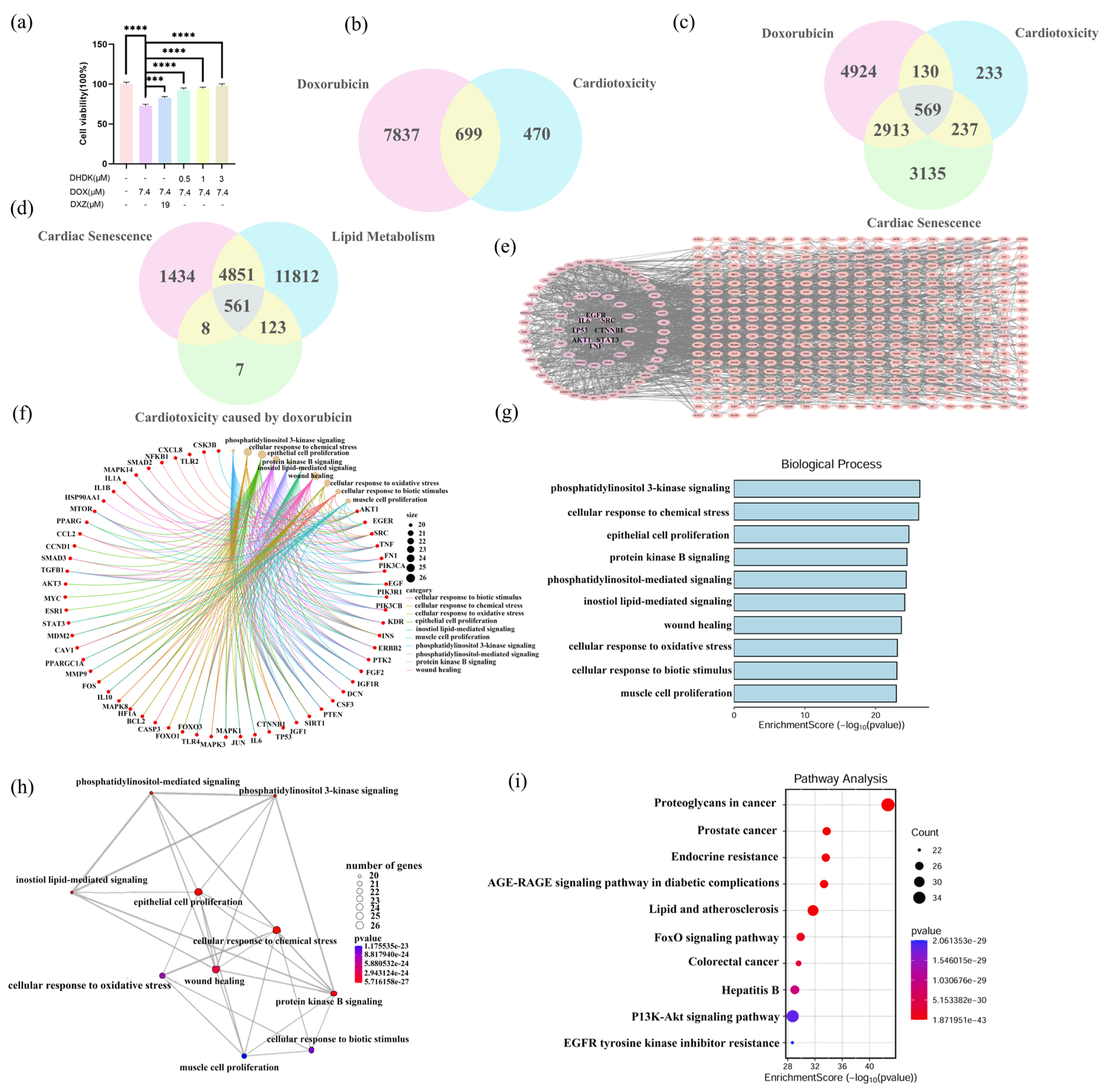 Pharmaceuticals 18 01759 g001 Pharmaceuticals 18 01759 g001
