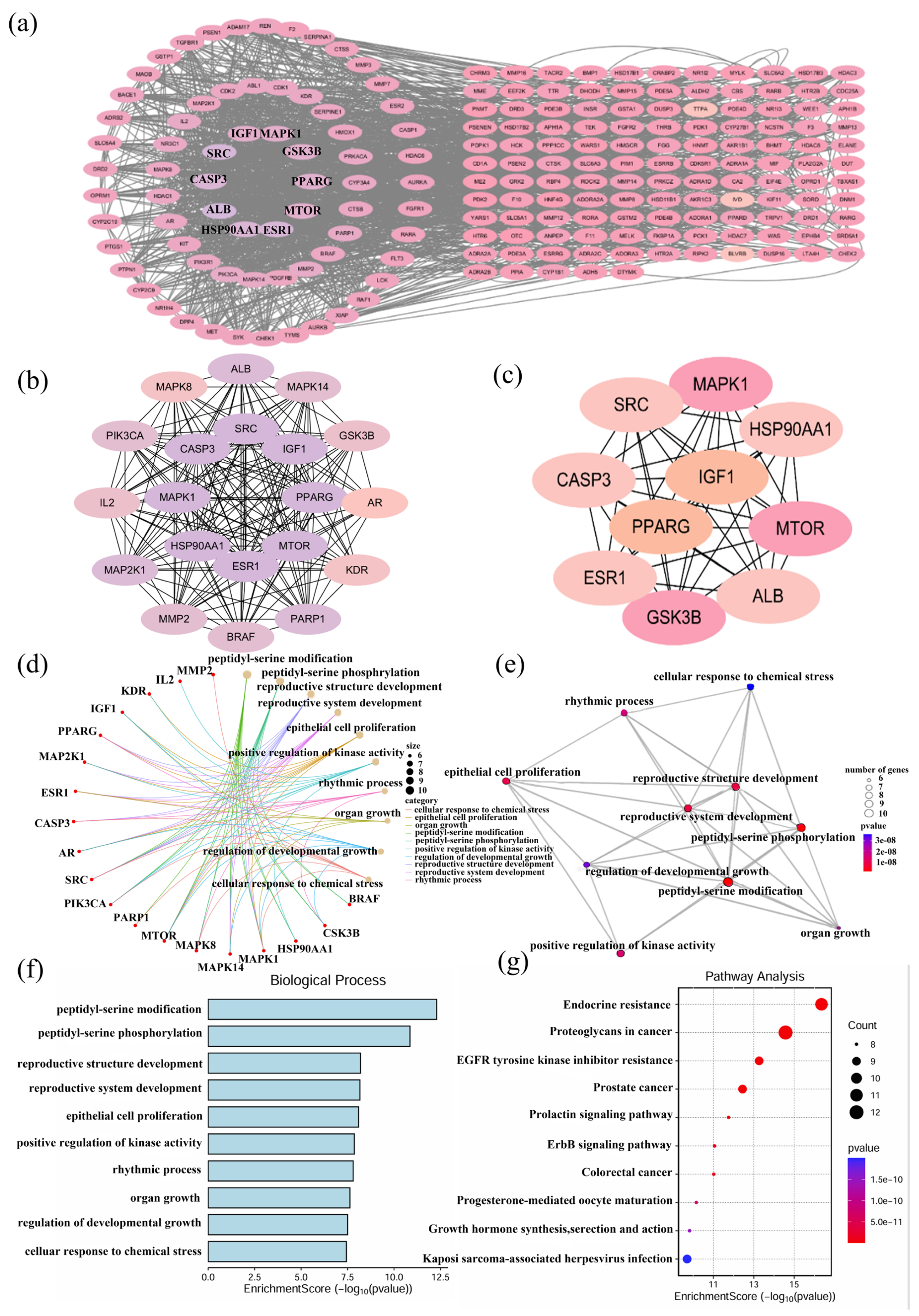 Pharmaceuticals 18 01759 g002 Pharmaceuticals 18 01759 g002