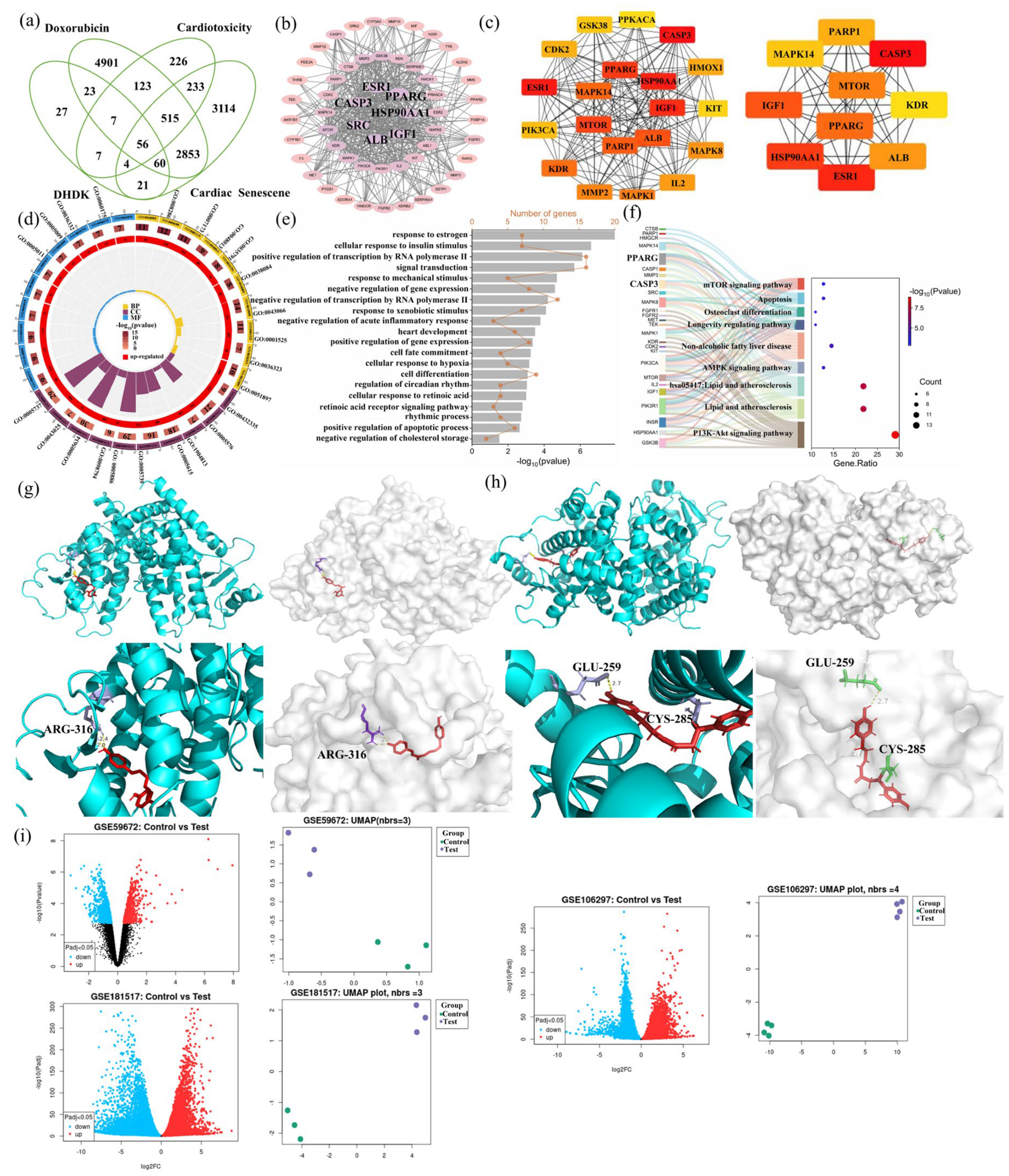Pharmaceuticals 18 01759 g003 Pharmaceuticals 18 01759 g003