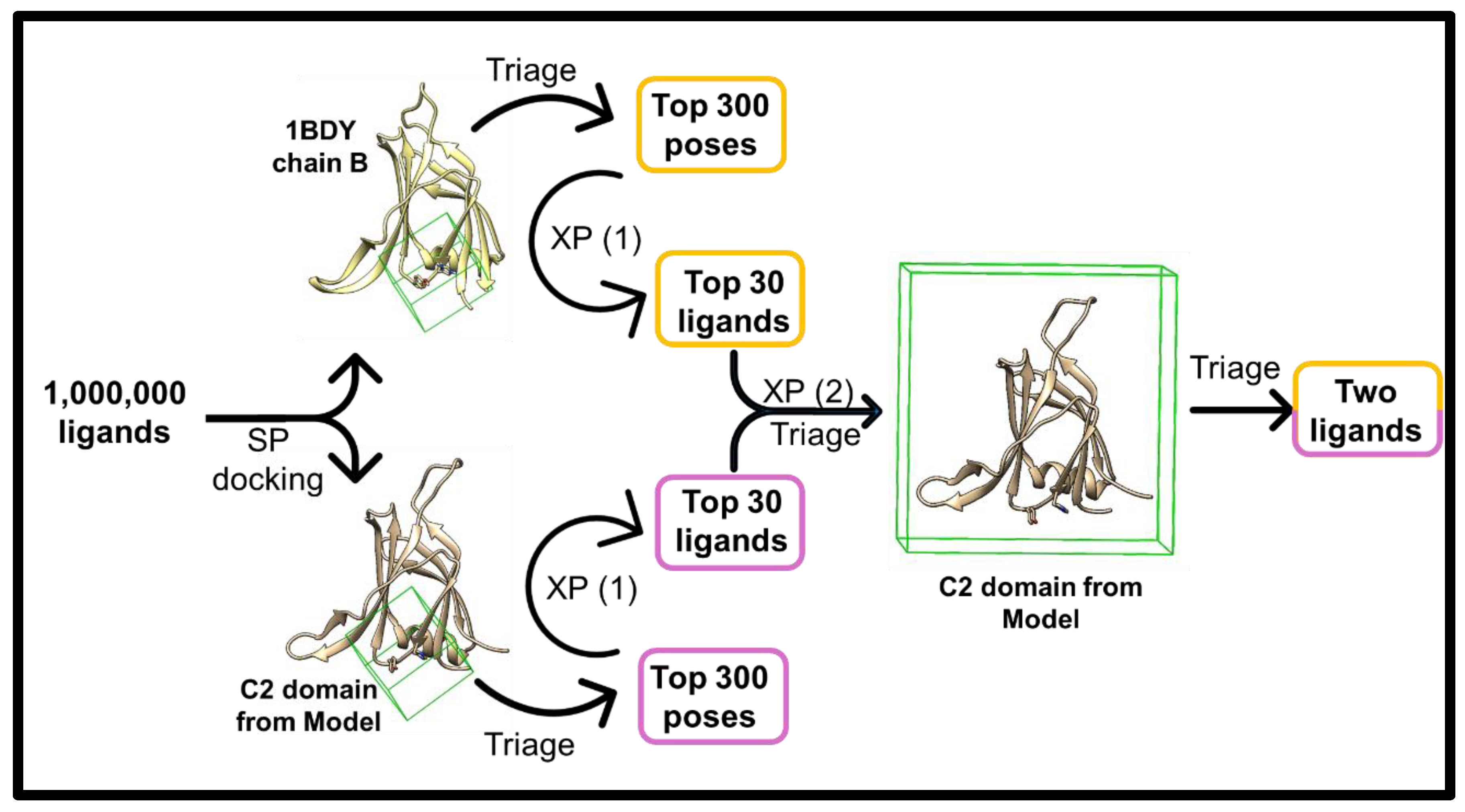 Pharmaceuticals 18 01760 g003