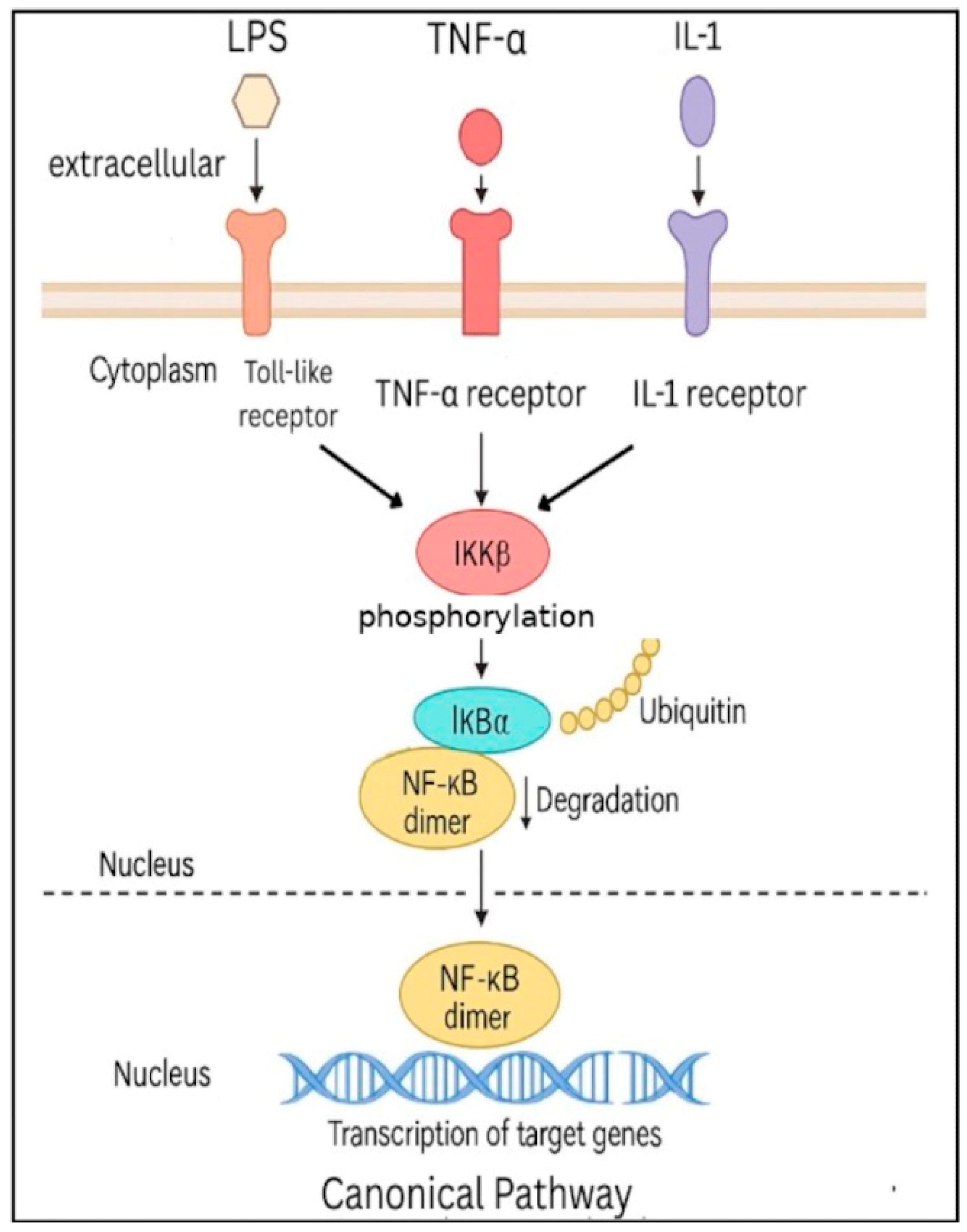 Pharmaceuticals 18 01764 g002