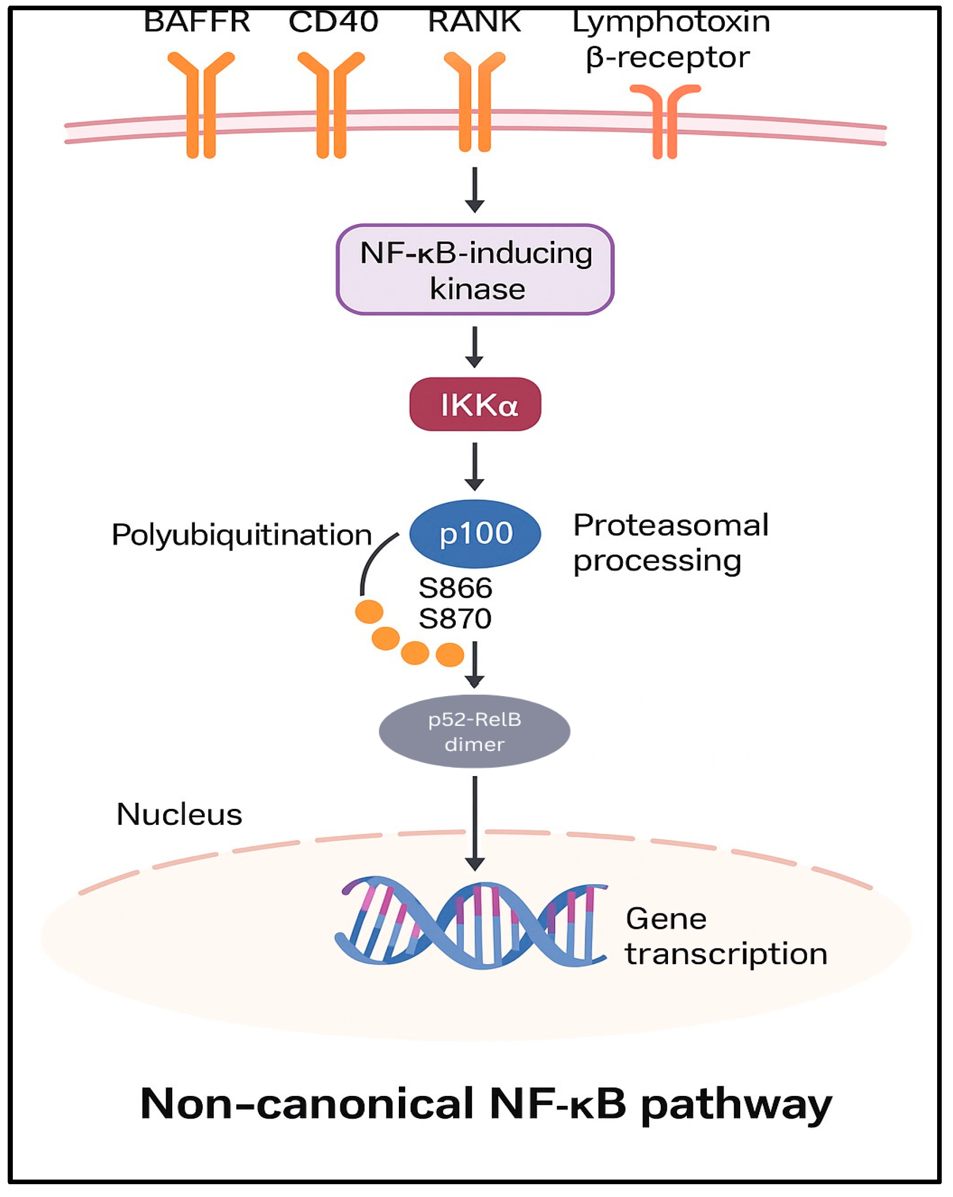 Pharmaceuticals 18 01764 g003