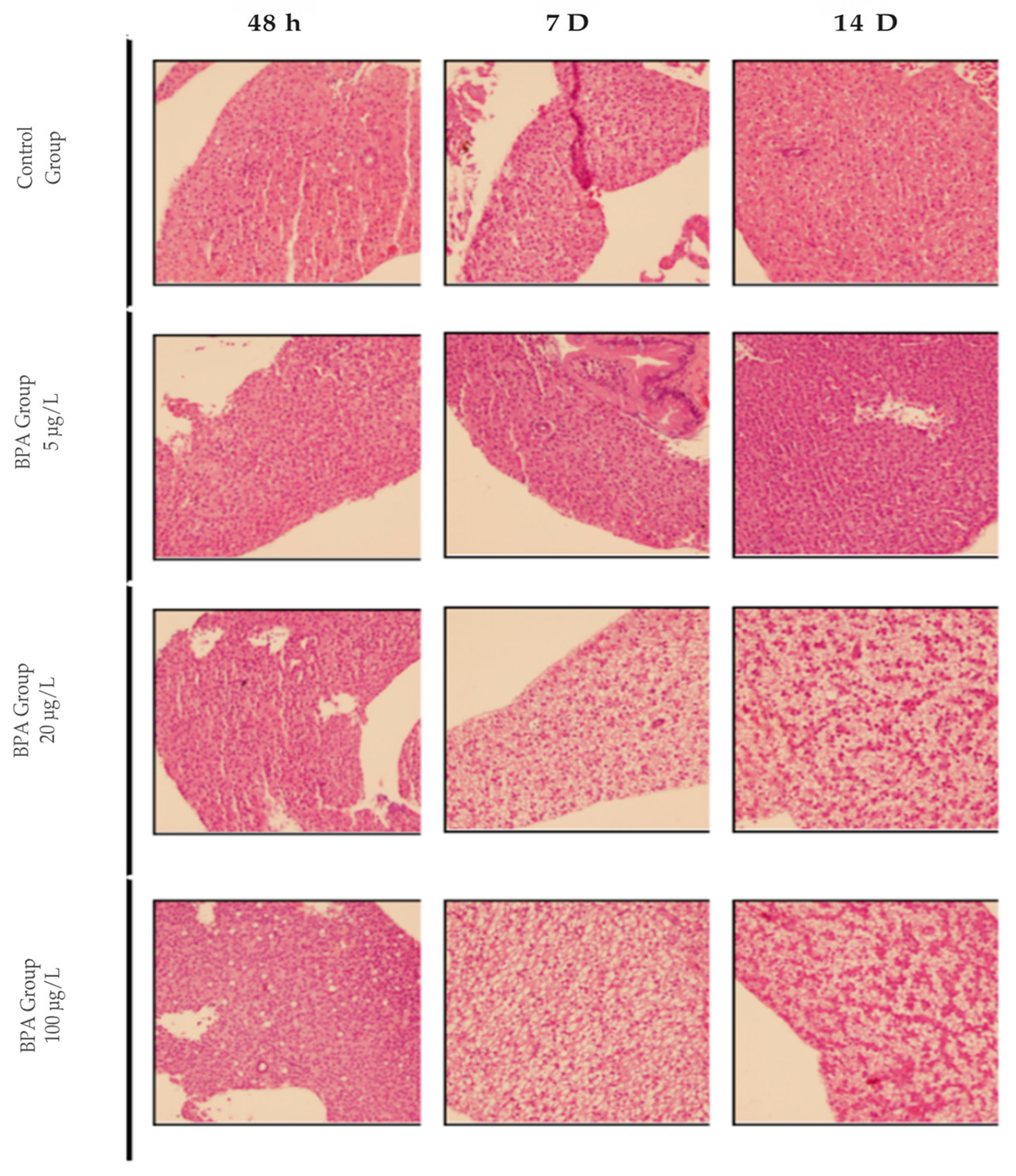 Pharmaceuticals 18 01765 g001