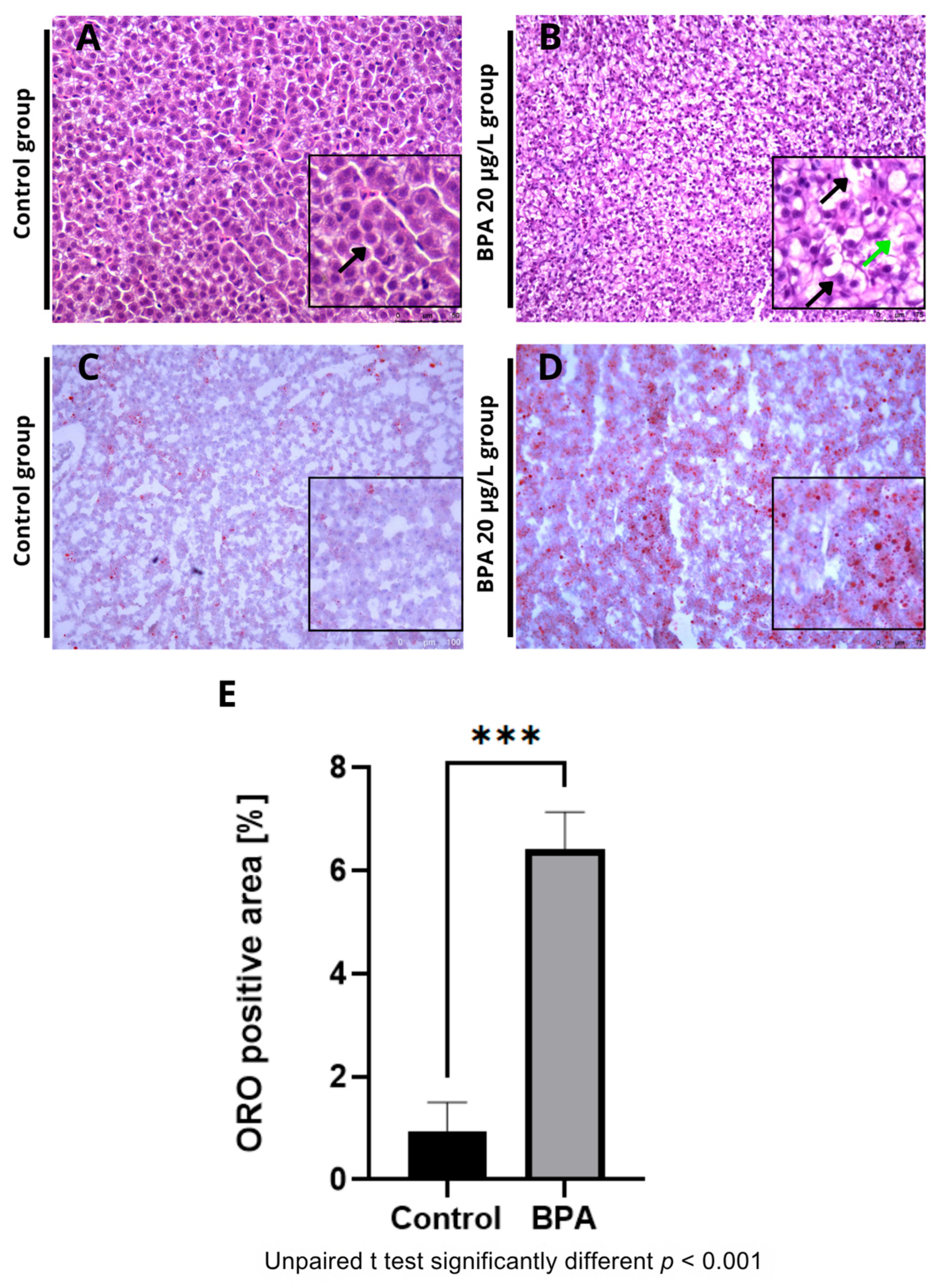 Pharmaceuticals 18 01765 g002