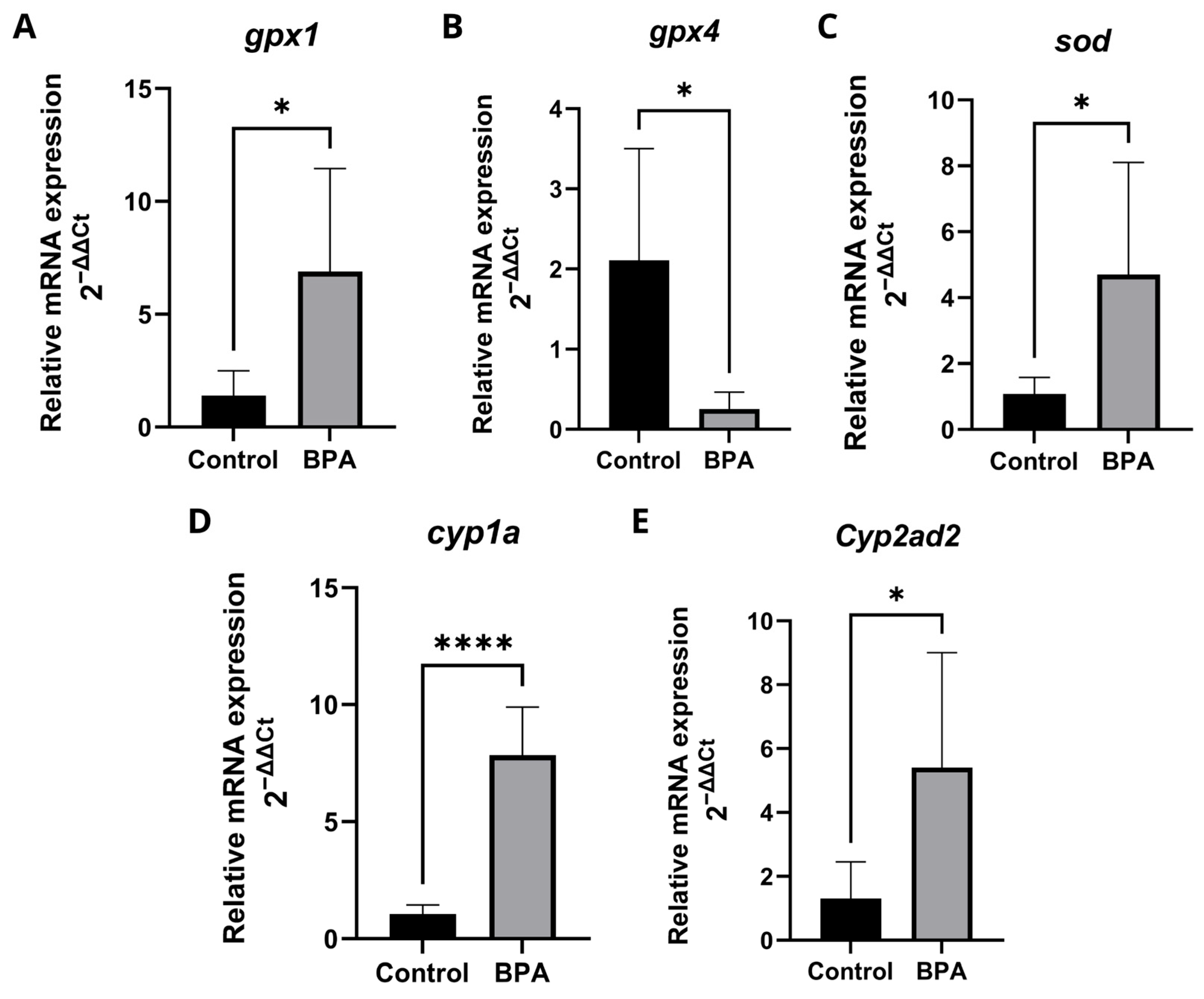 Pharmaceuticals 18 01765 g006