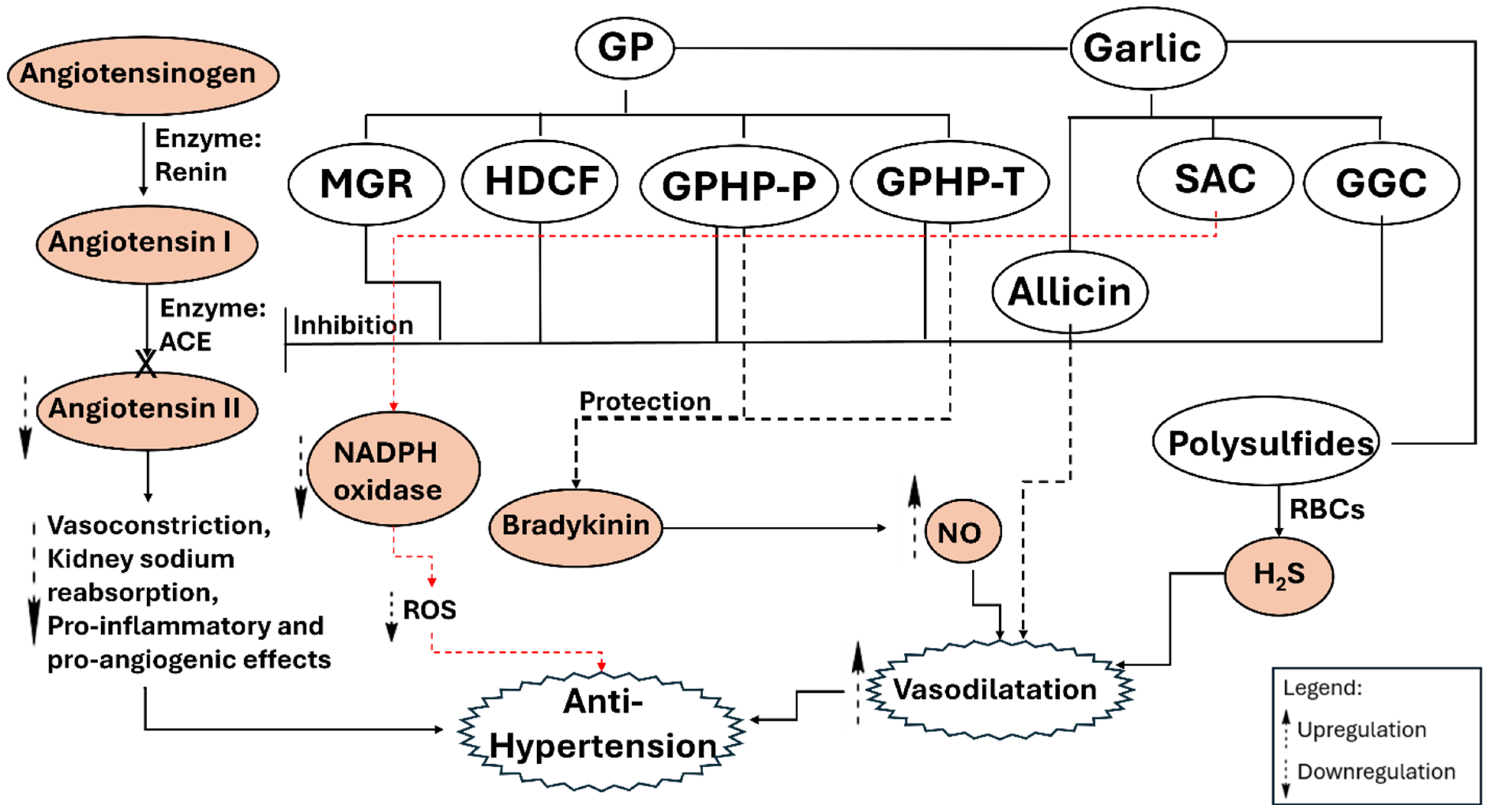 Pharmaceuticals 18 01766 g002