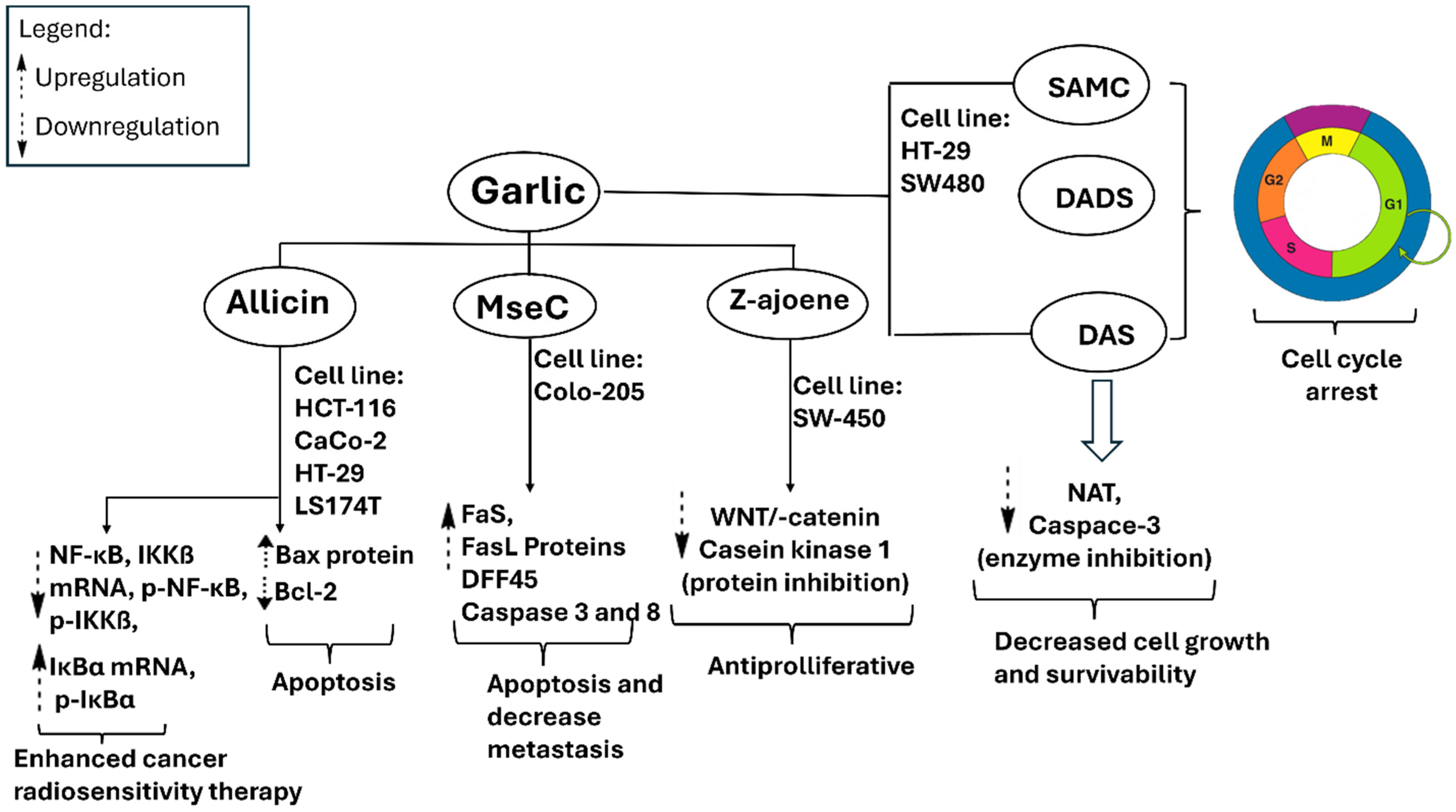 Pharmaceuticals 18 01766 g005