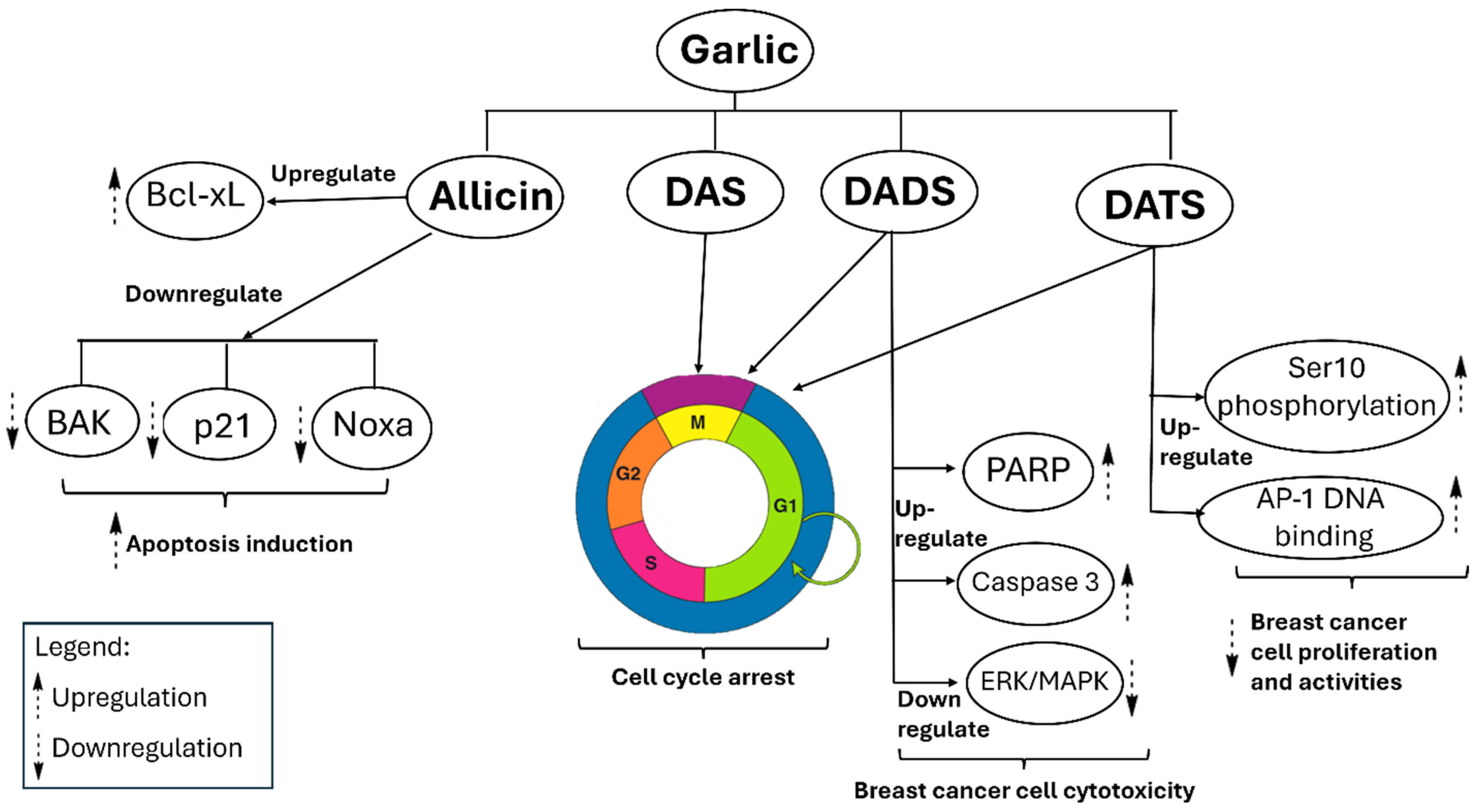 Pharmaceuticals 18 01766 g006