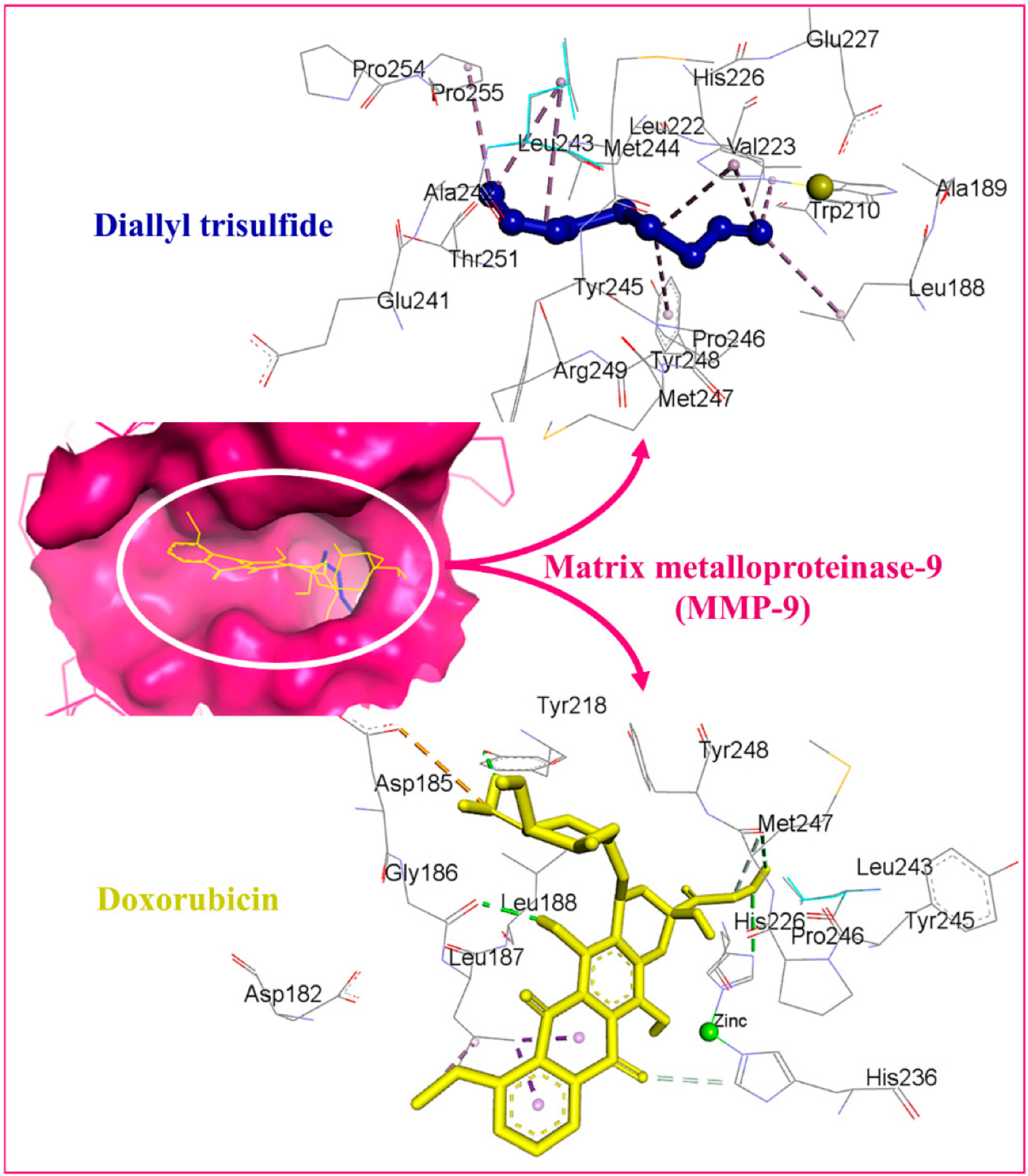 Pharmaceuticals 18 01766 g008