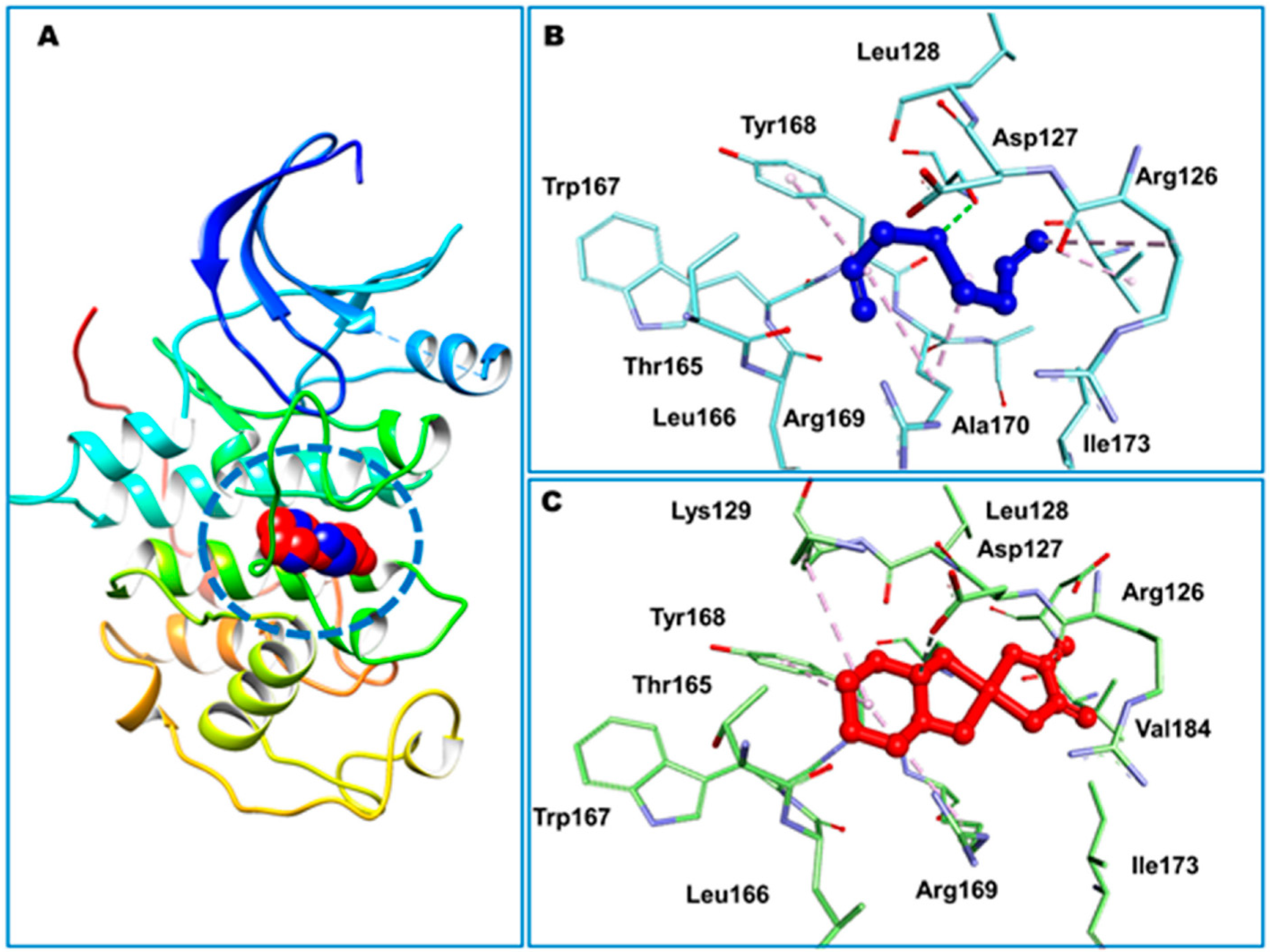 Pharmaceuticals 18 01766 g010