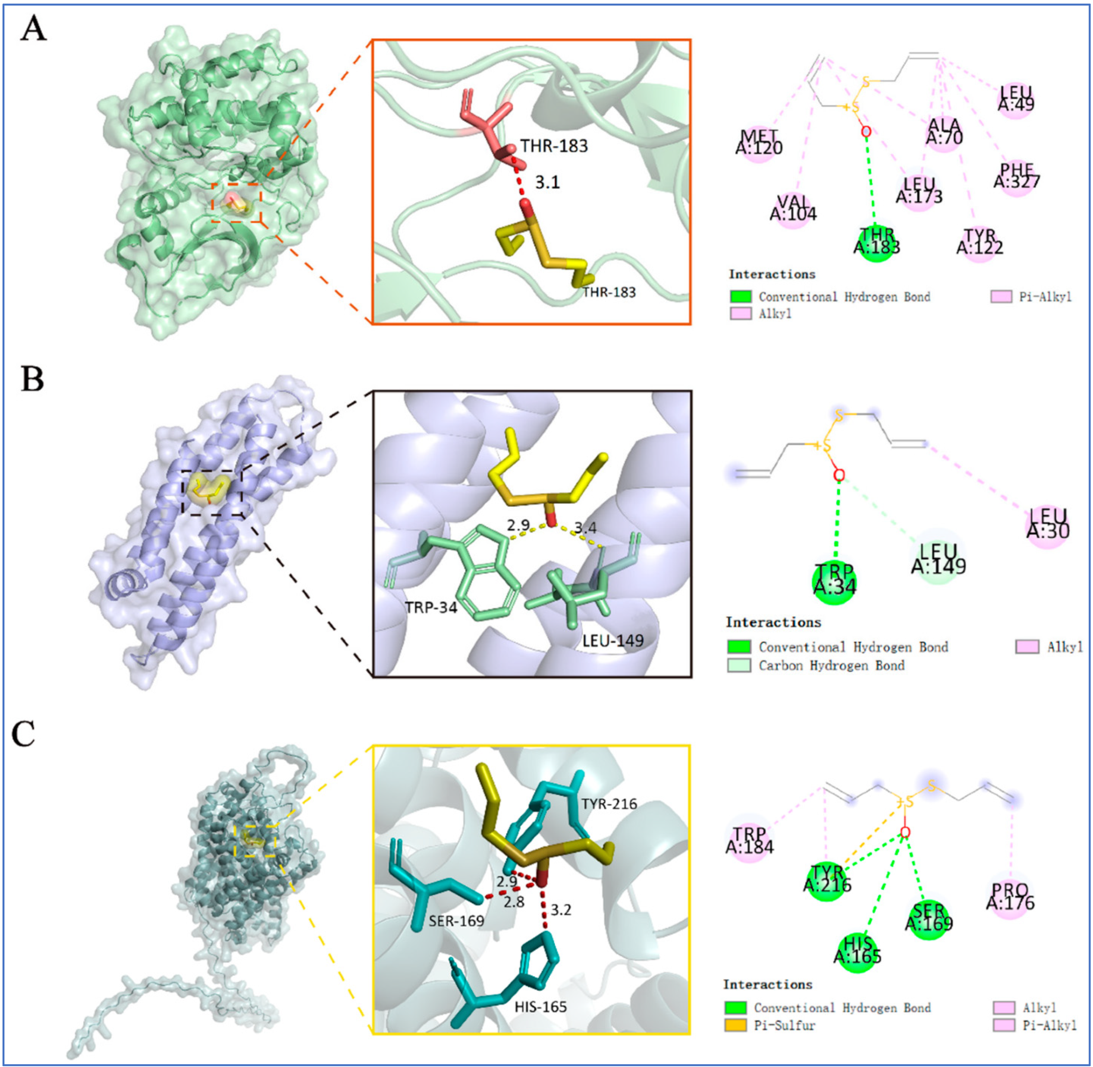 Pharmaceuticals 18 01766 g012