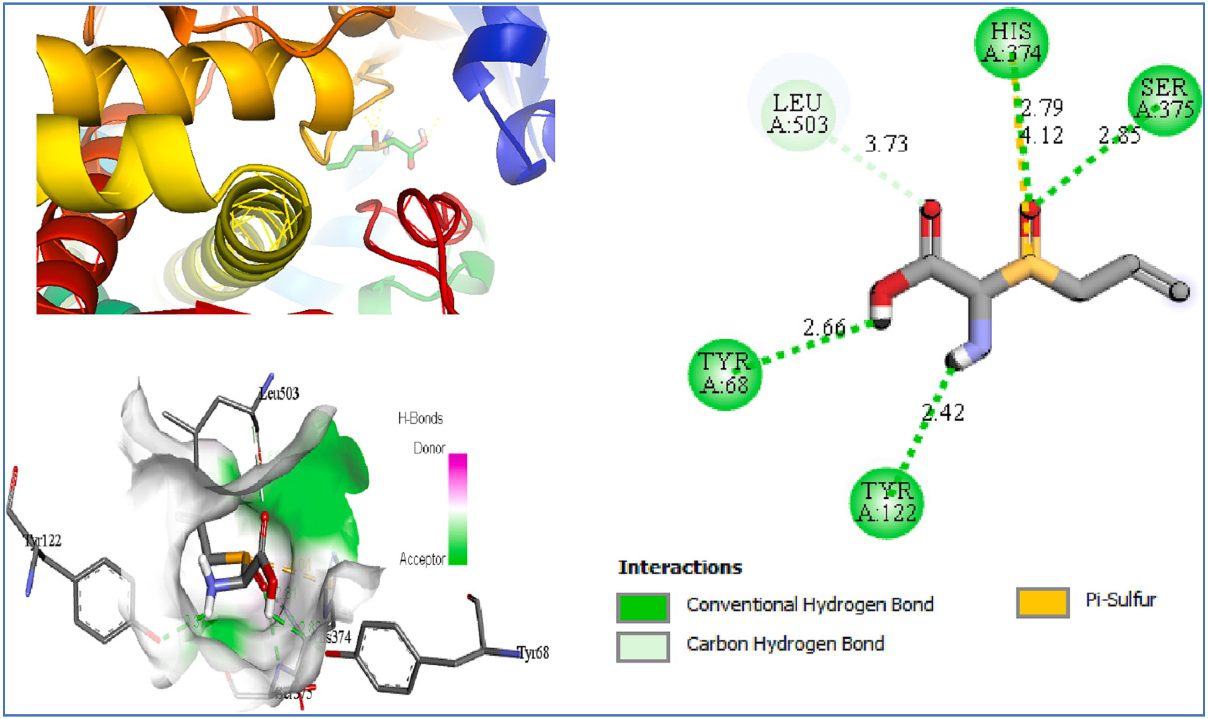Pharmaceuticals 18 01766 g013