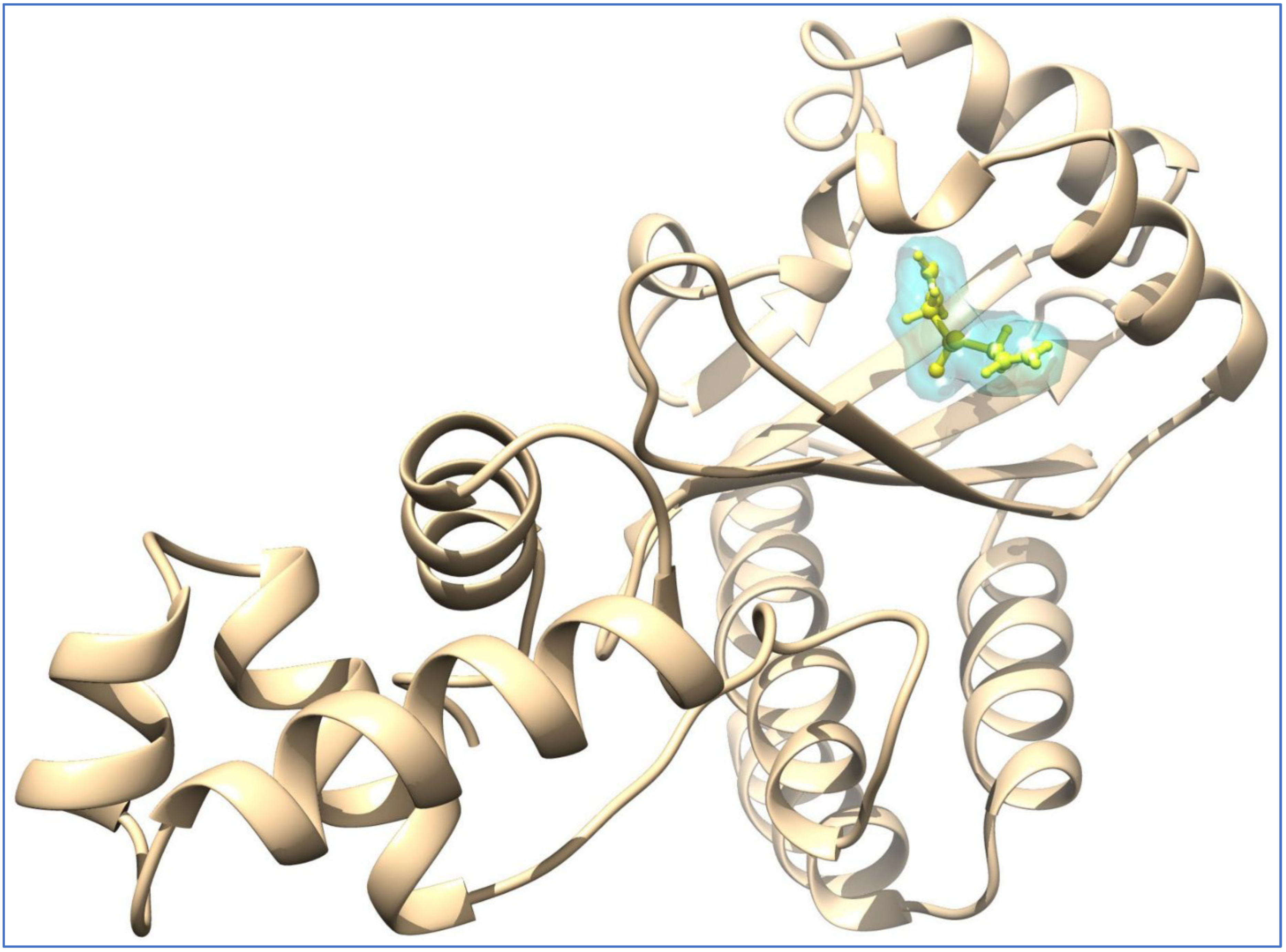 Pharmaceuticals 18 01766 g014